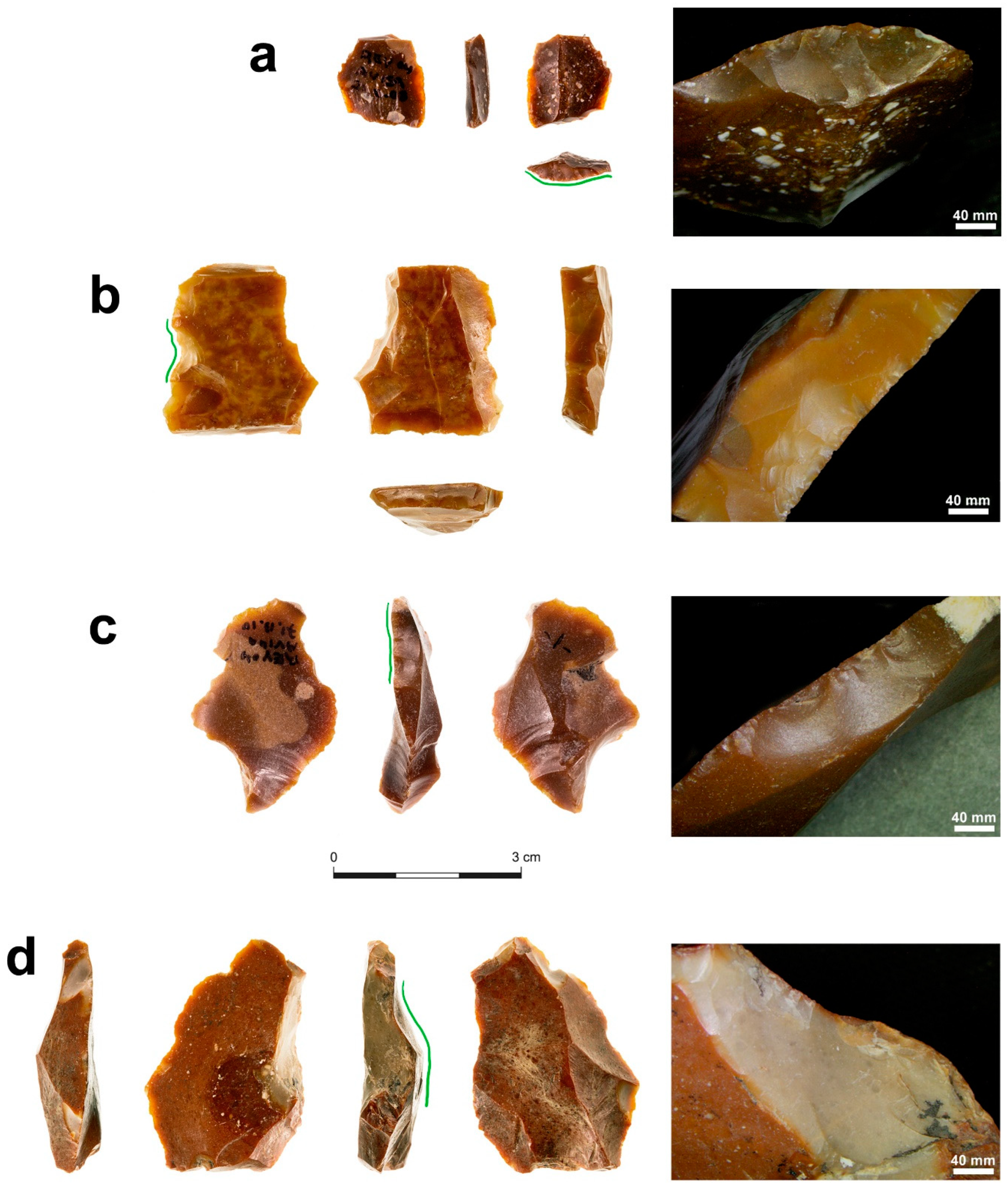 Quaternary 07 00058 g003