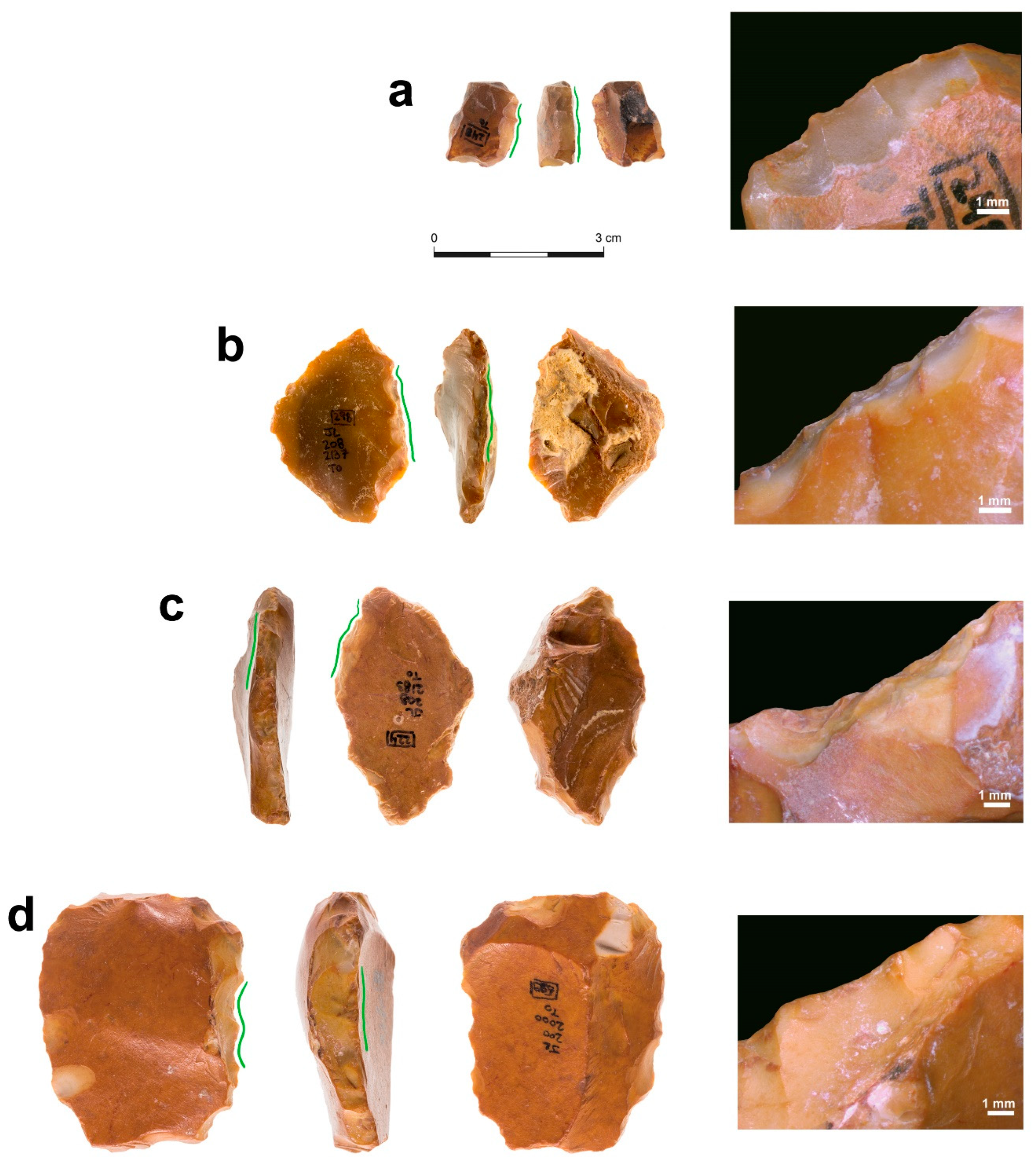 Quaternary 07 00058 g005