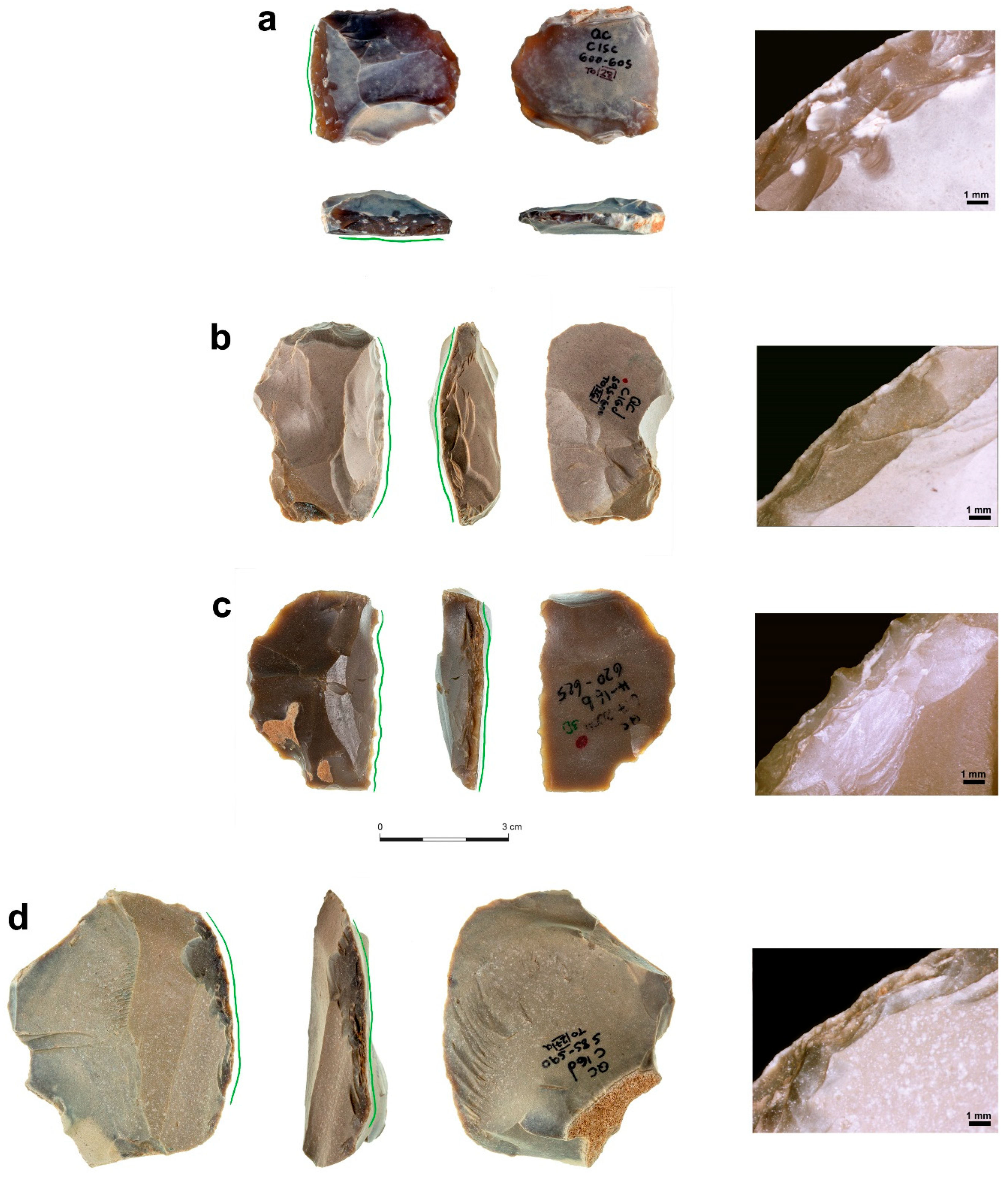 Quaternary 07 00058 g007