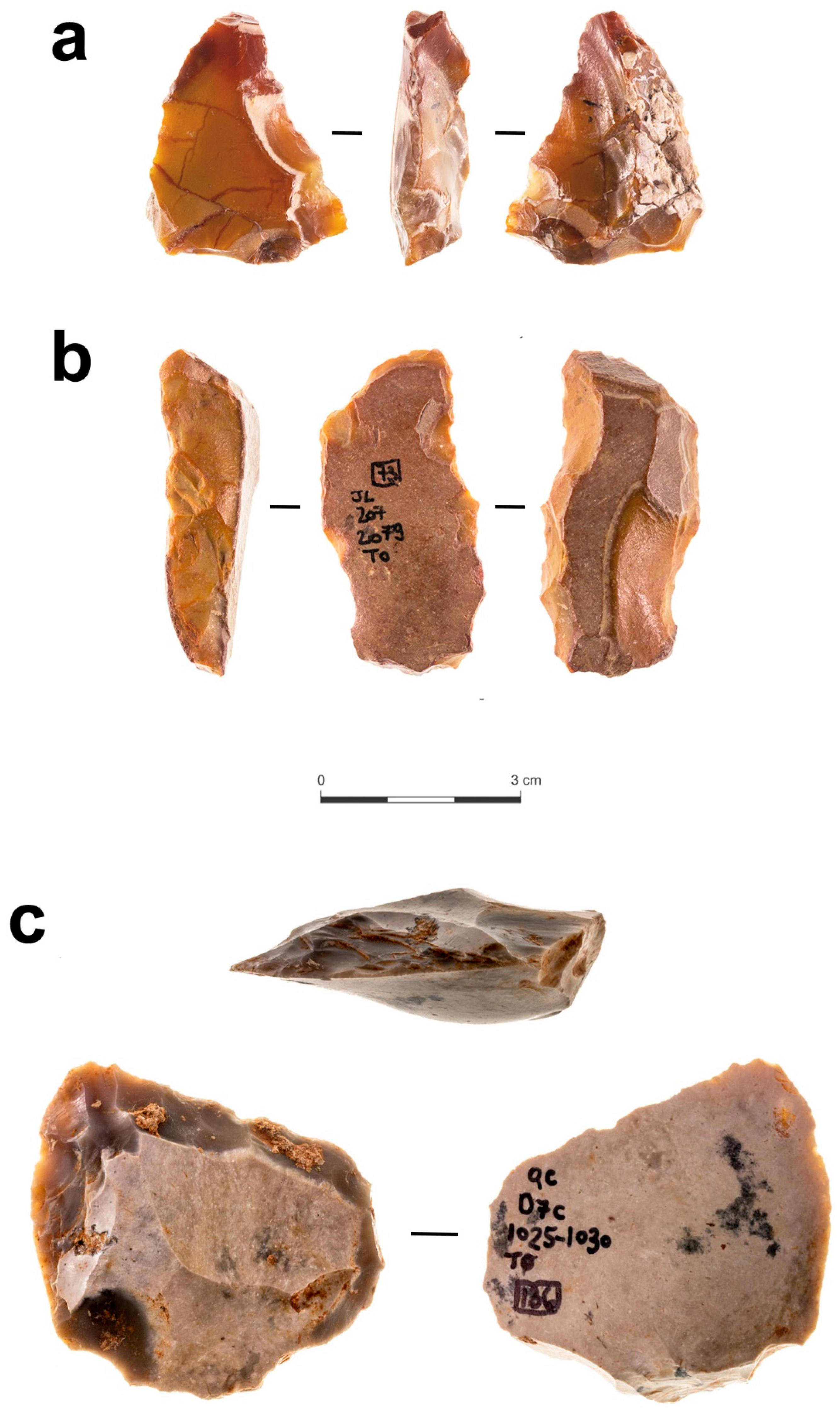 Quaternary 07 00058 g009