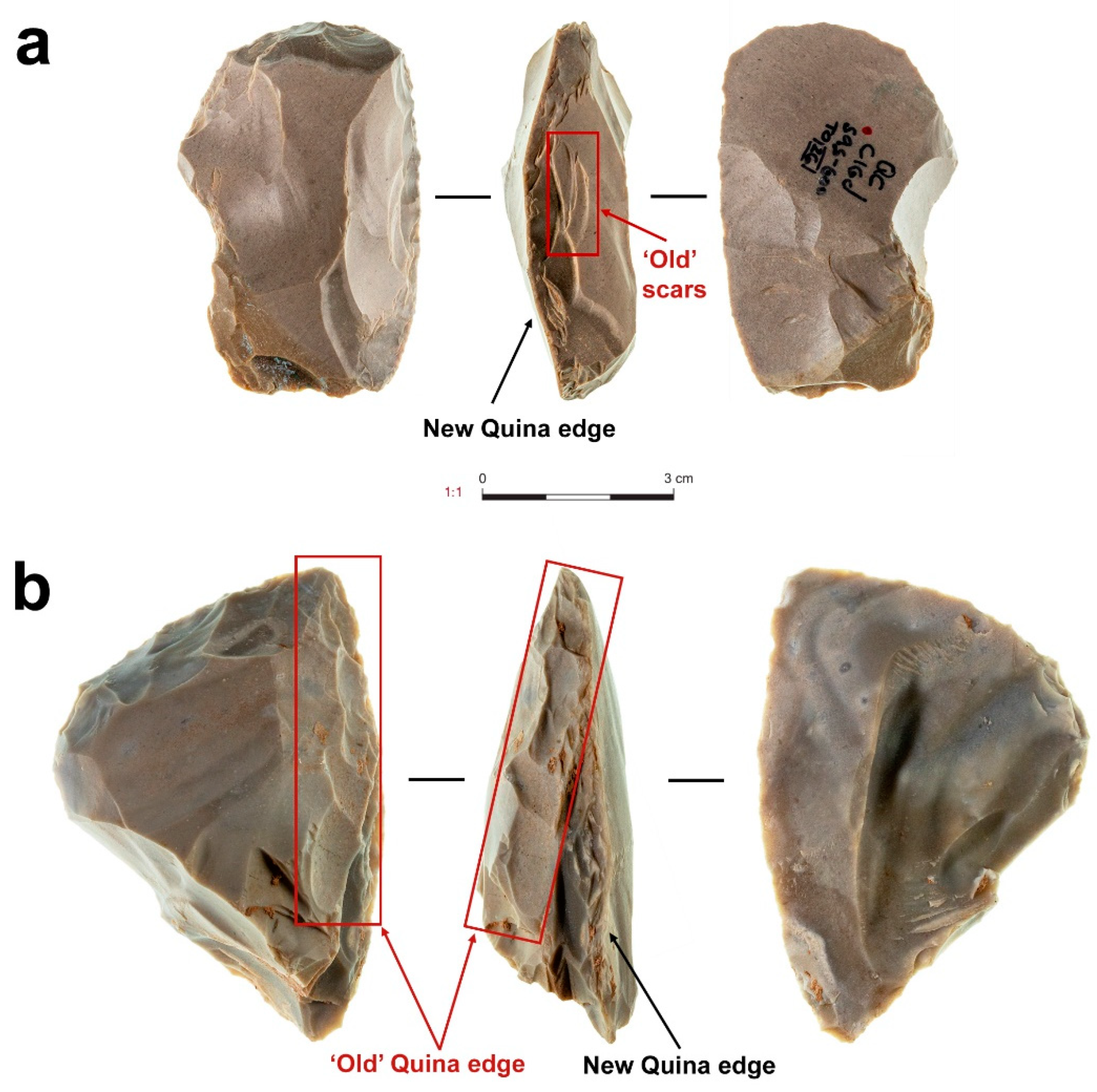 Quaternary 07 00058 g012