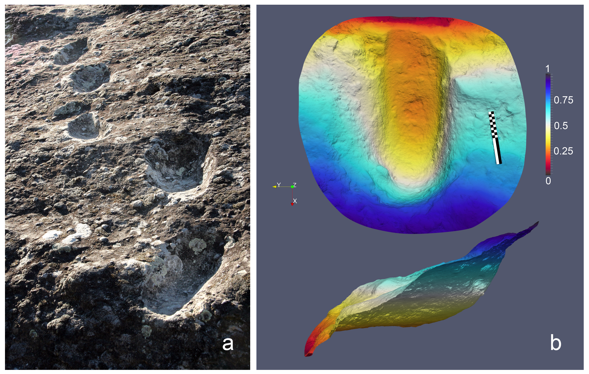 Quaternary 08 00005 g003