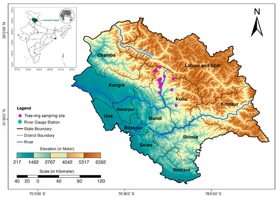 Streamflow Reconstruction Using Multi-Taxa Tree-Ring Records from