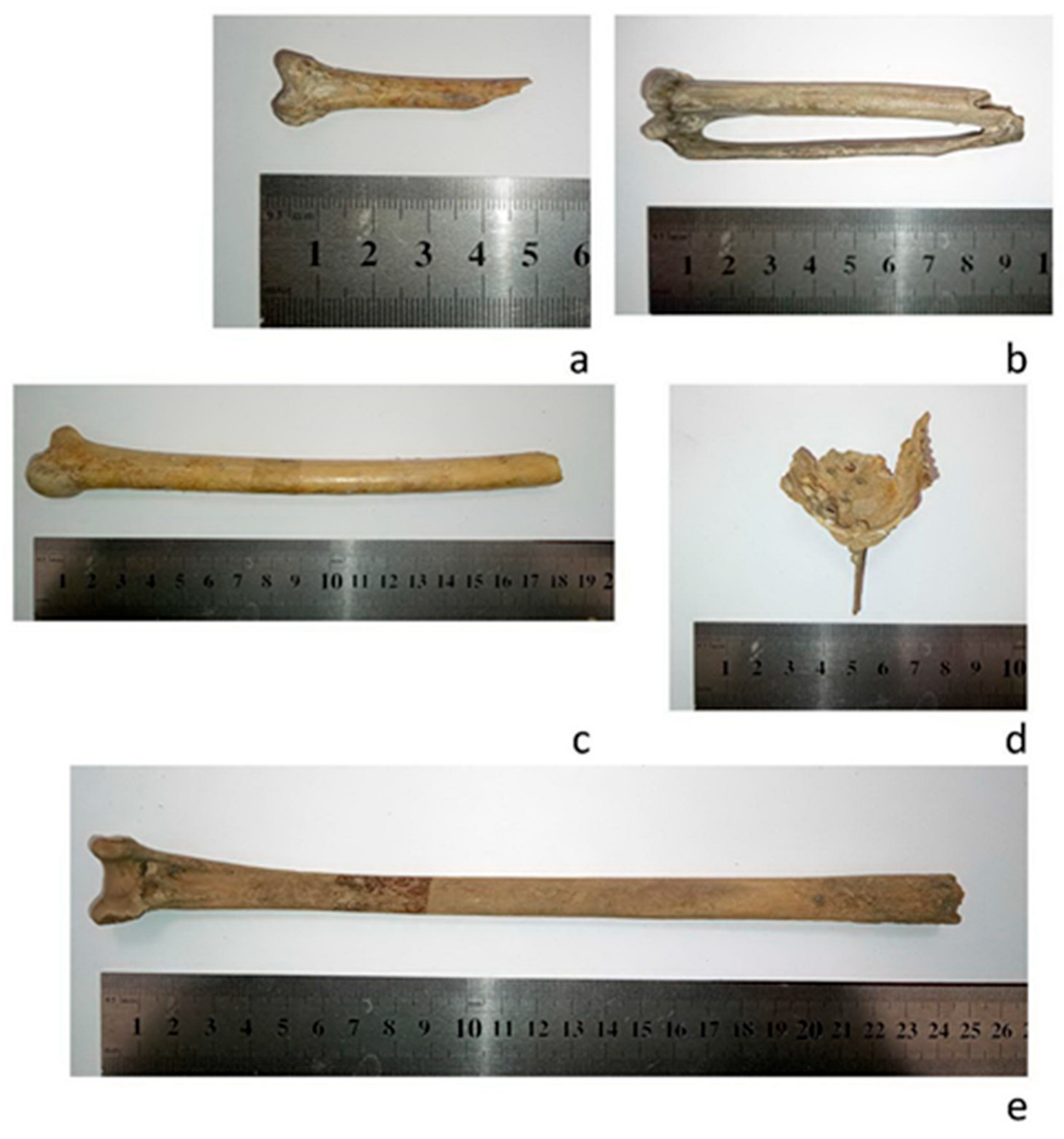 Quaternary 08 00010 g003
