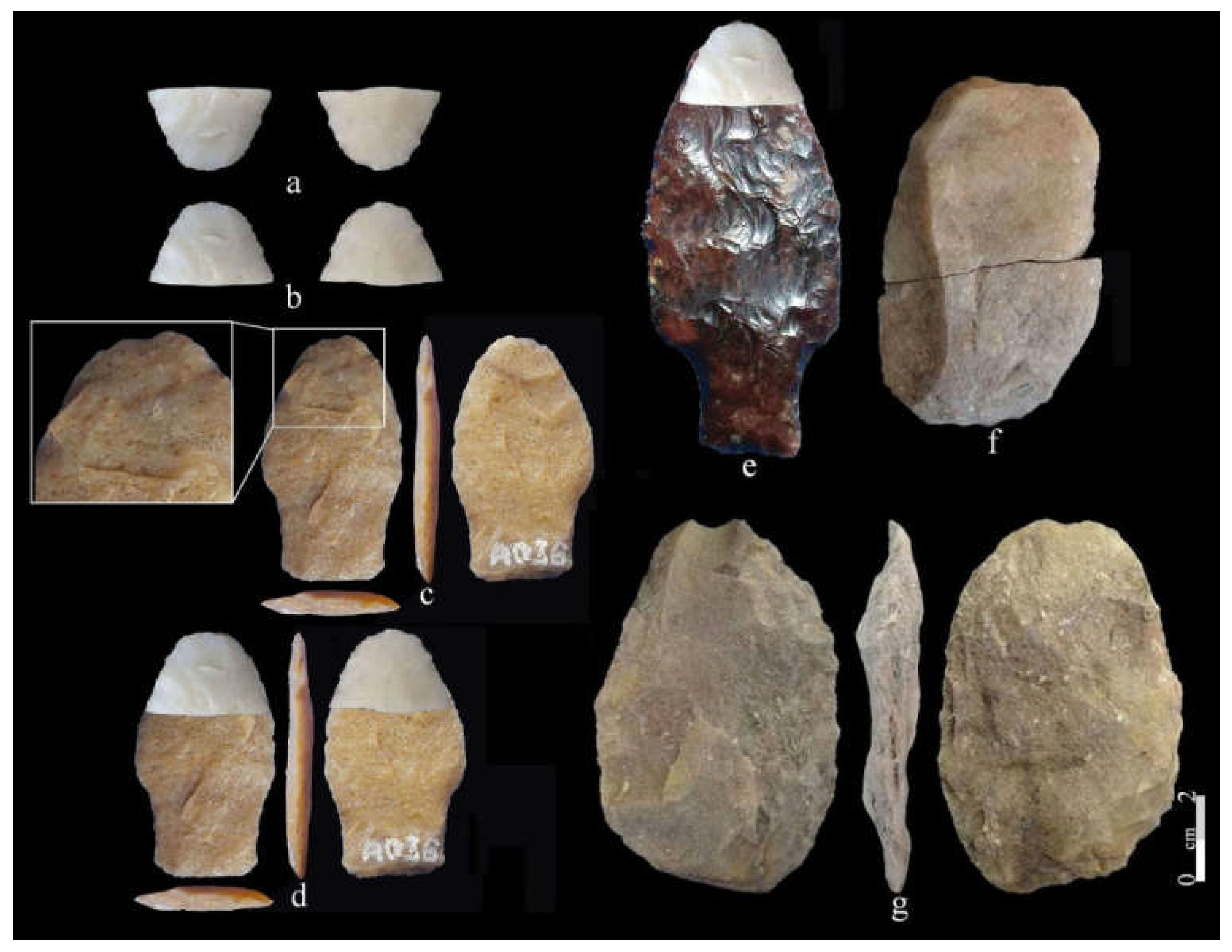 Quaternary 08 00014 g015 Quaternary 08 00014 g015