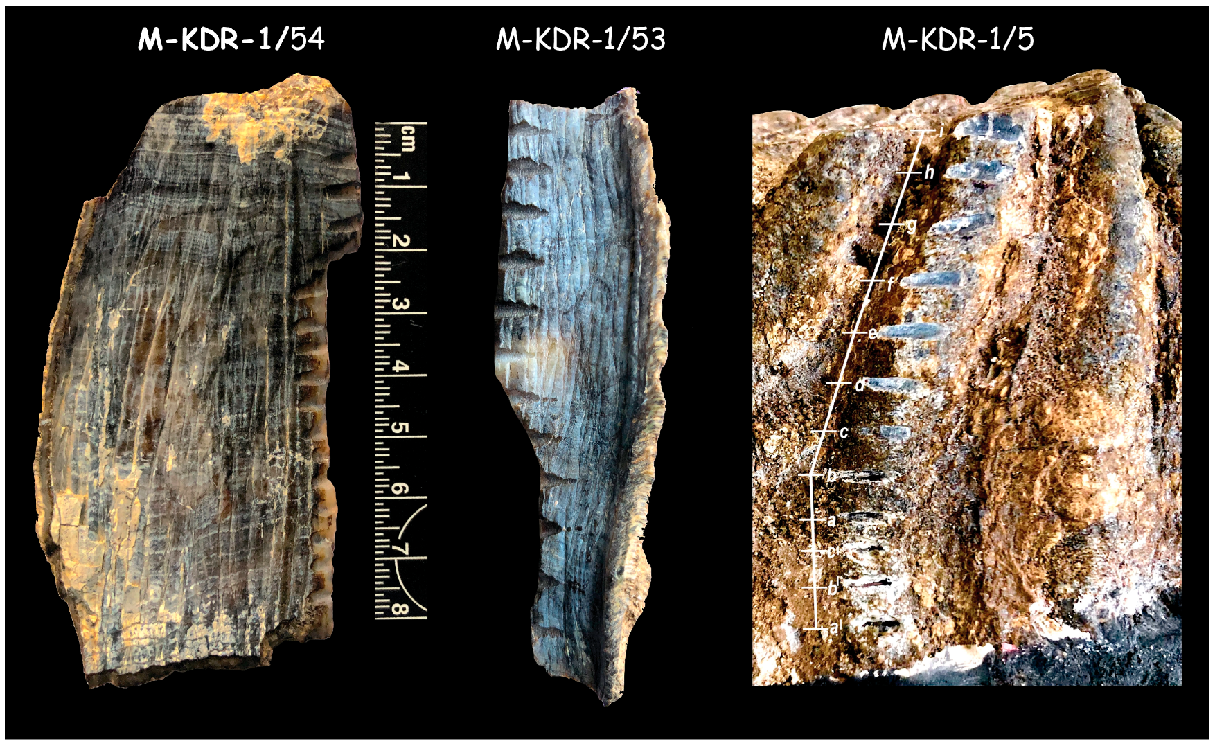Quaternary 08 00016 g006 Quaternary 08 00016 g006