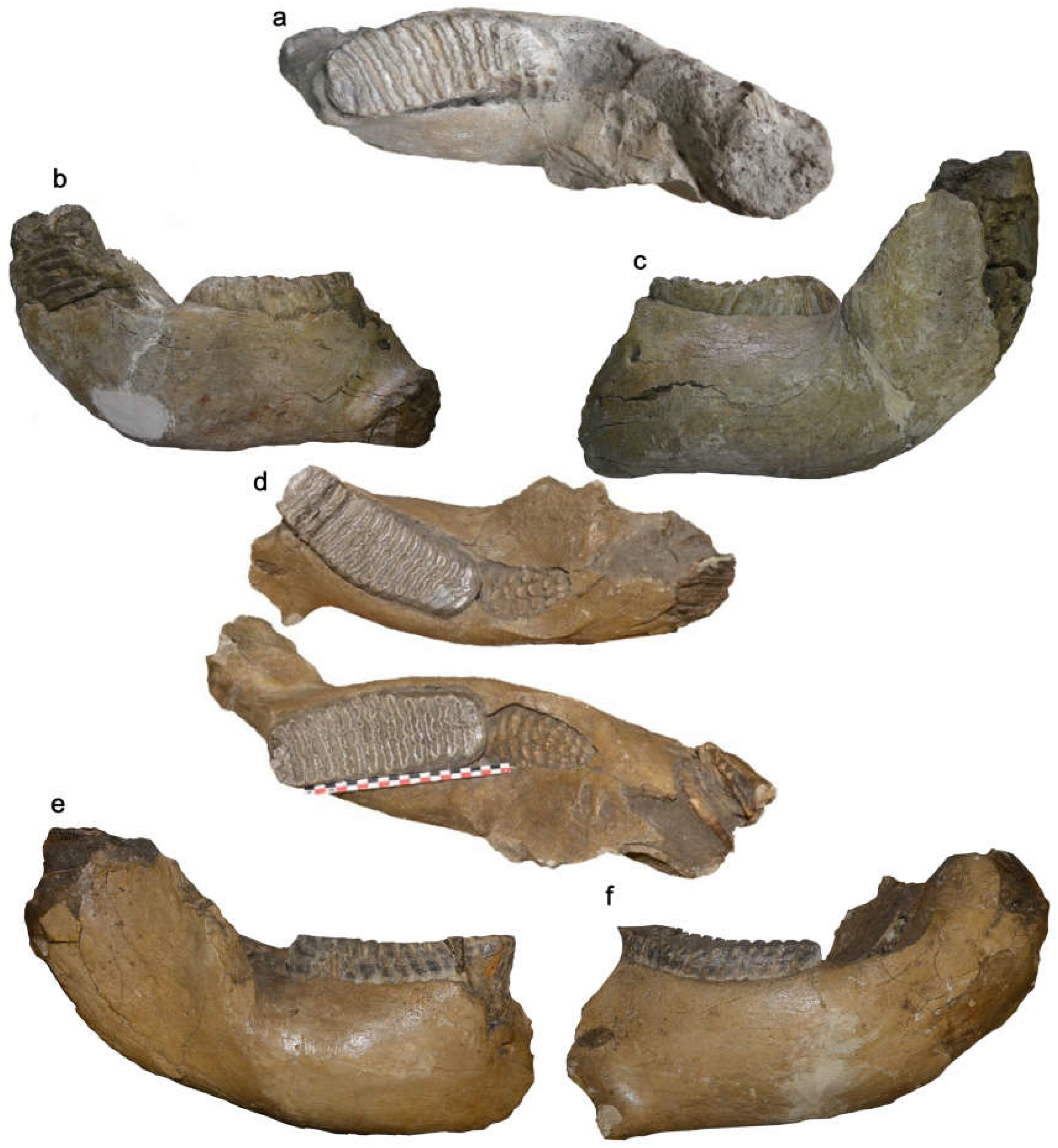 Quaternary 08 00019 g005