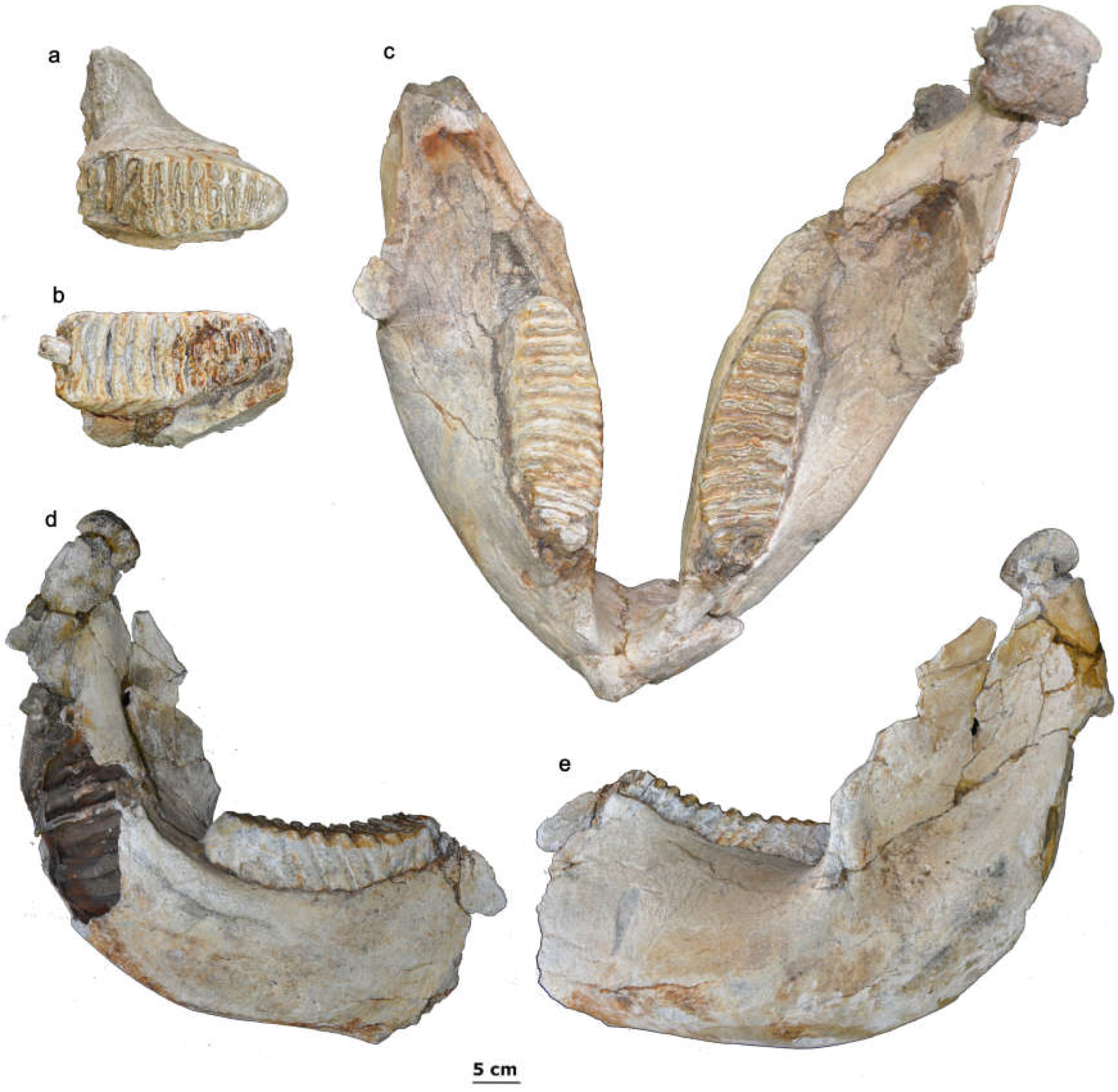 Quaternary 08 00019 g006