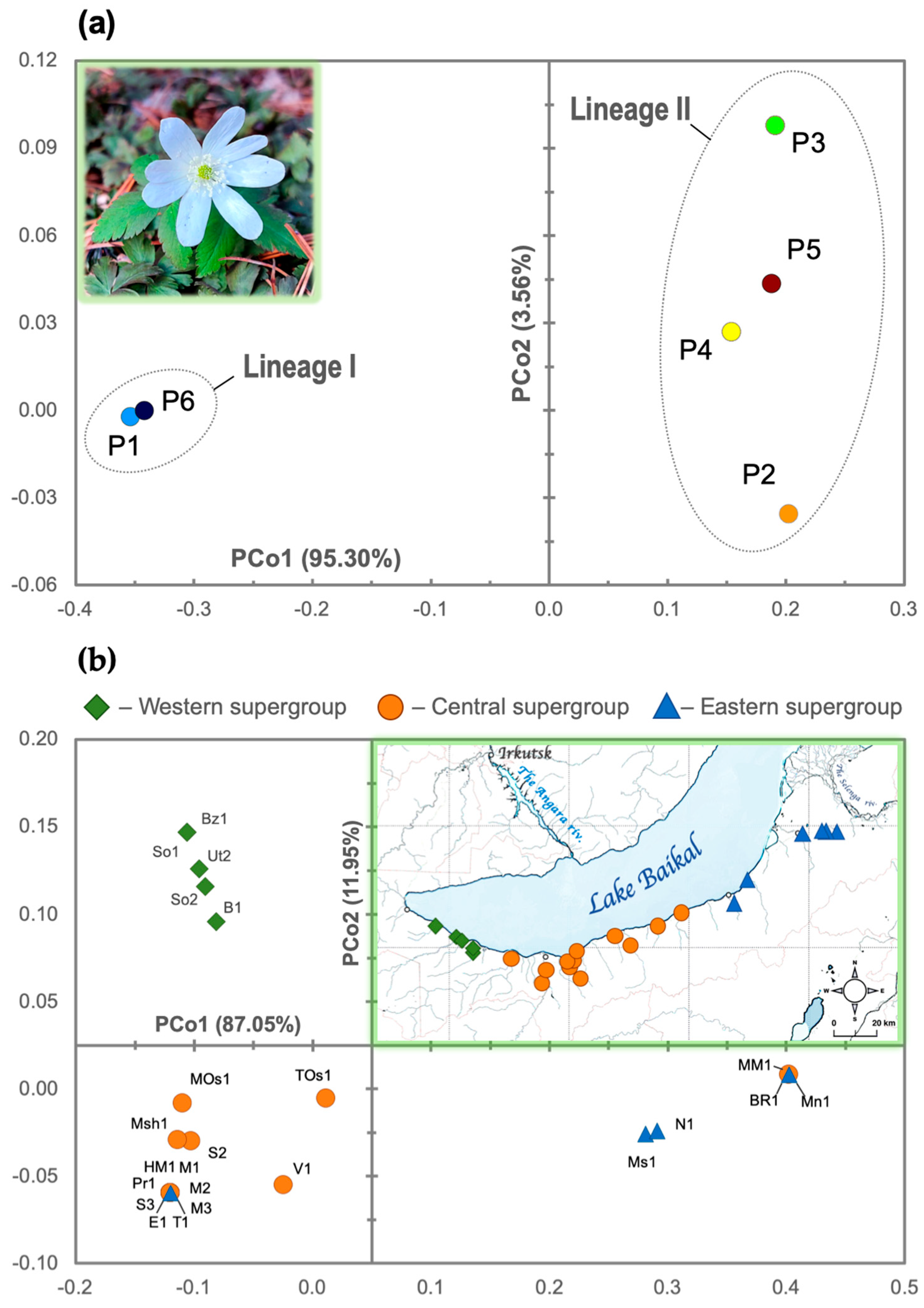 Quaternary 08 00020 g002