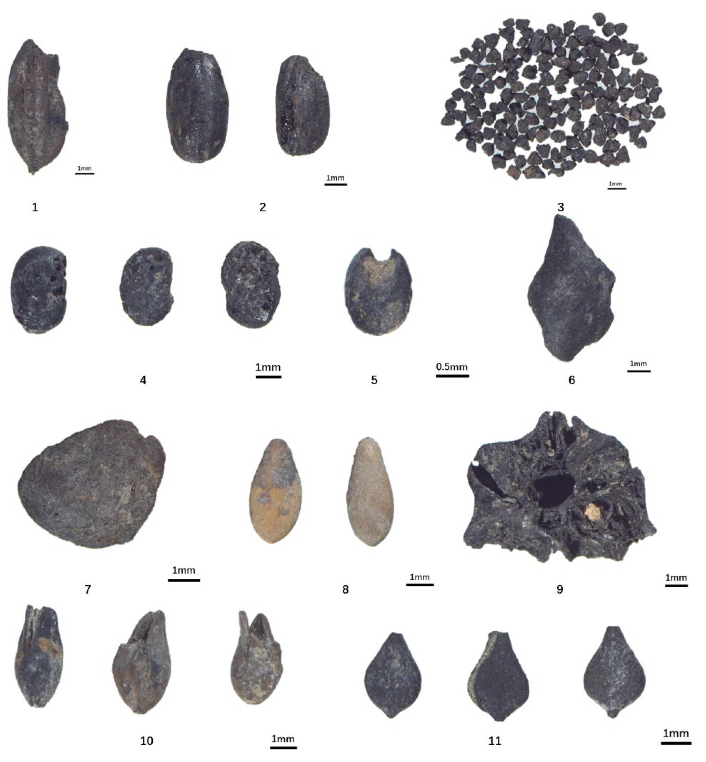 Quaternary 08 00021 g003