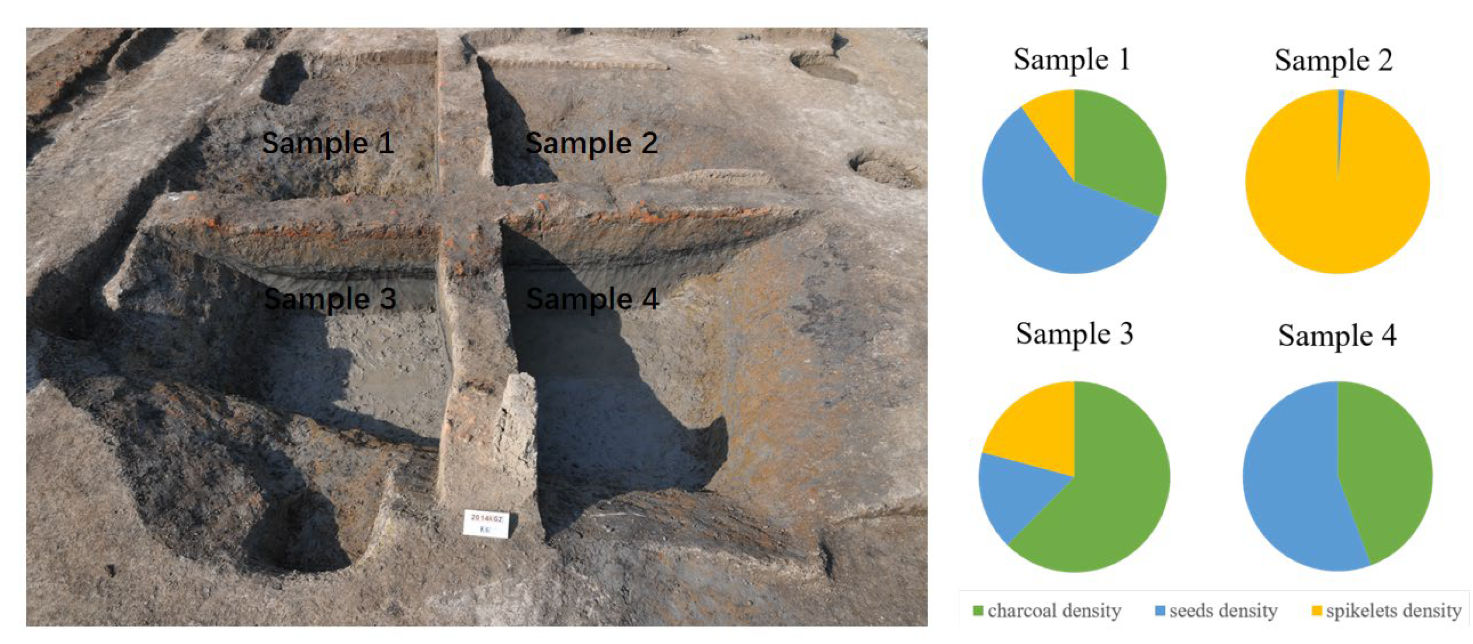 Quaternary 08 00021 g005
