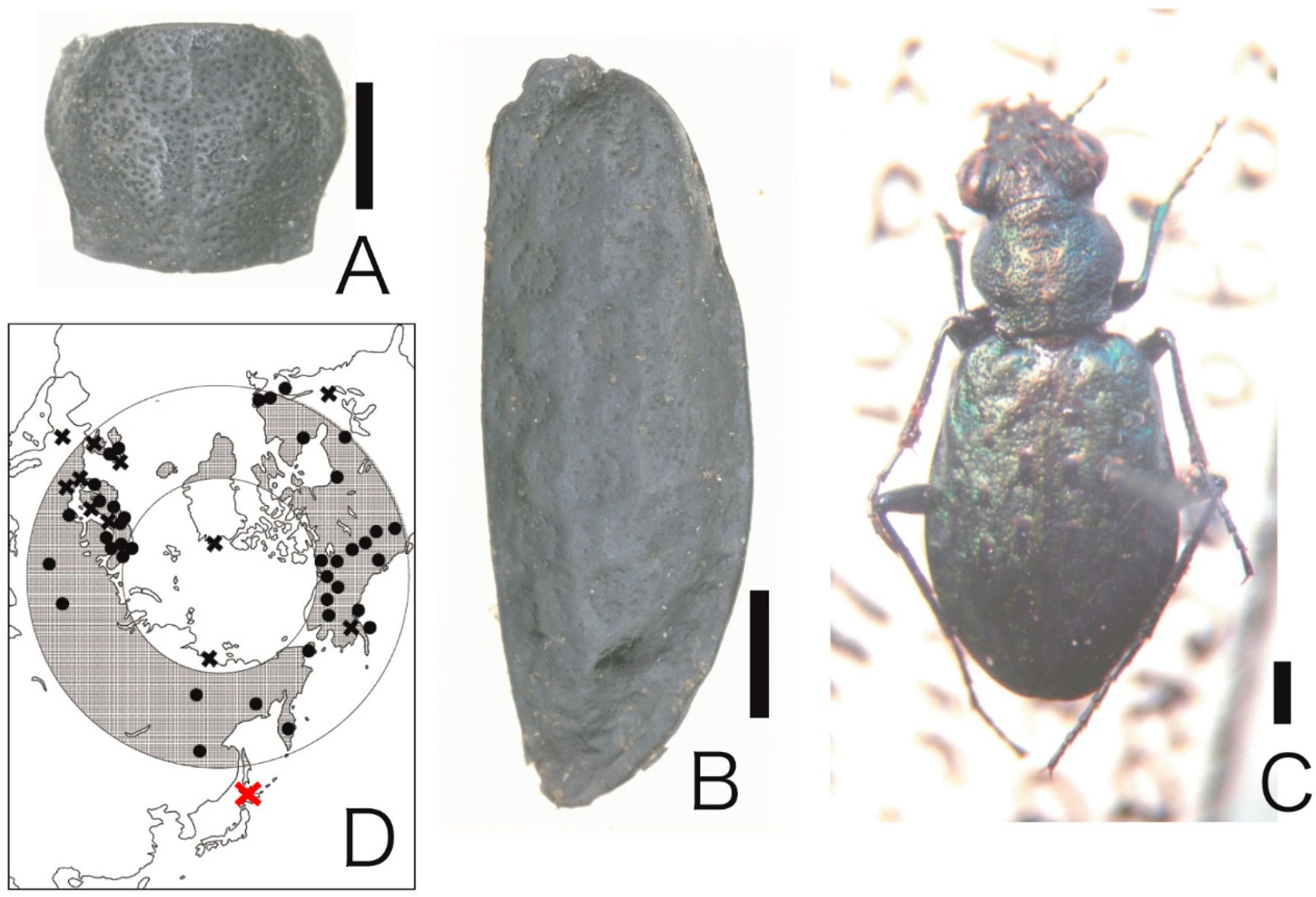 Quaternary 08 00022 g002