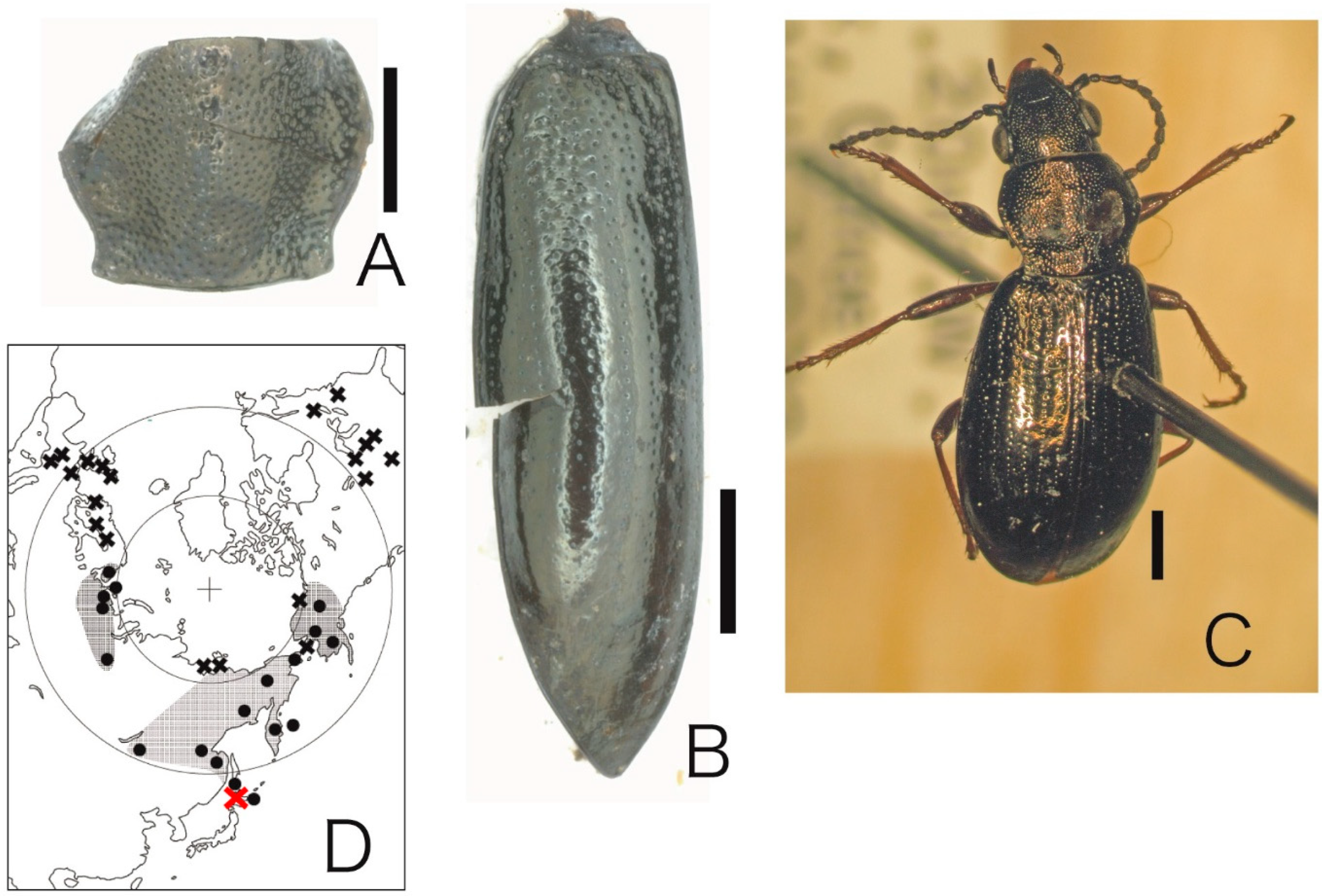 Quaternary 08 00022 g003