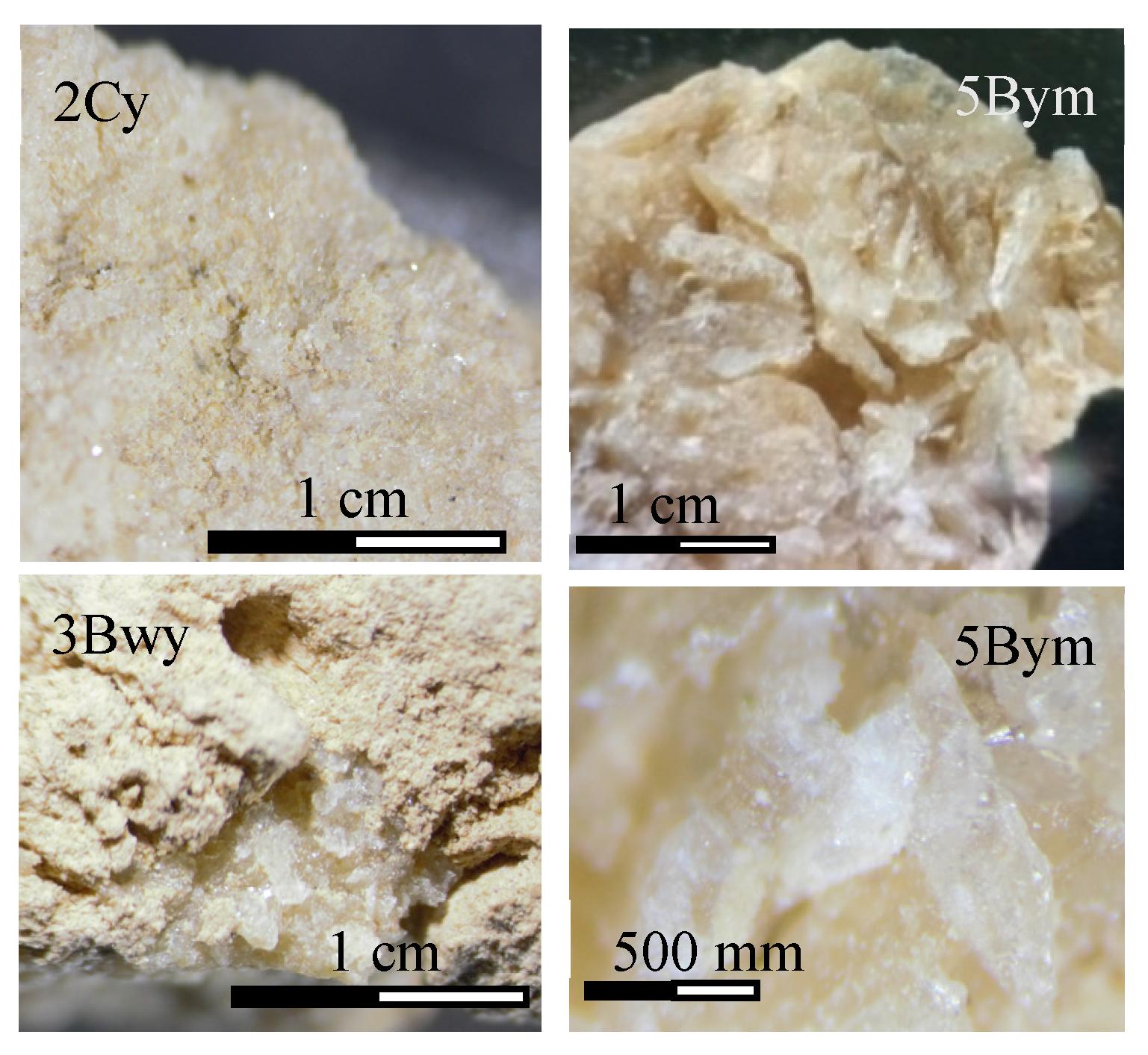 Quaternary 08 00025 g006