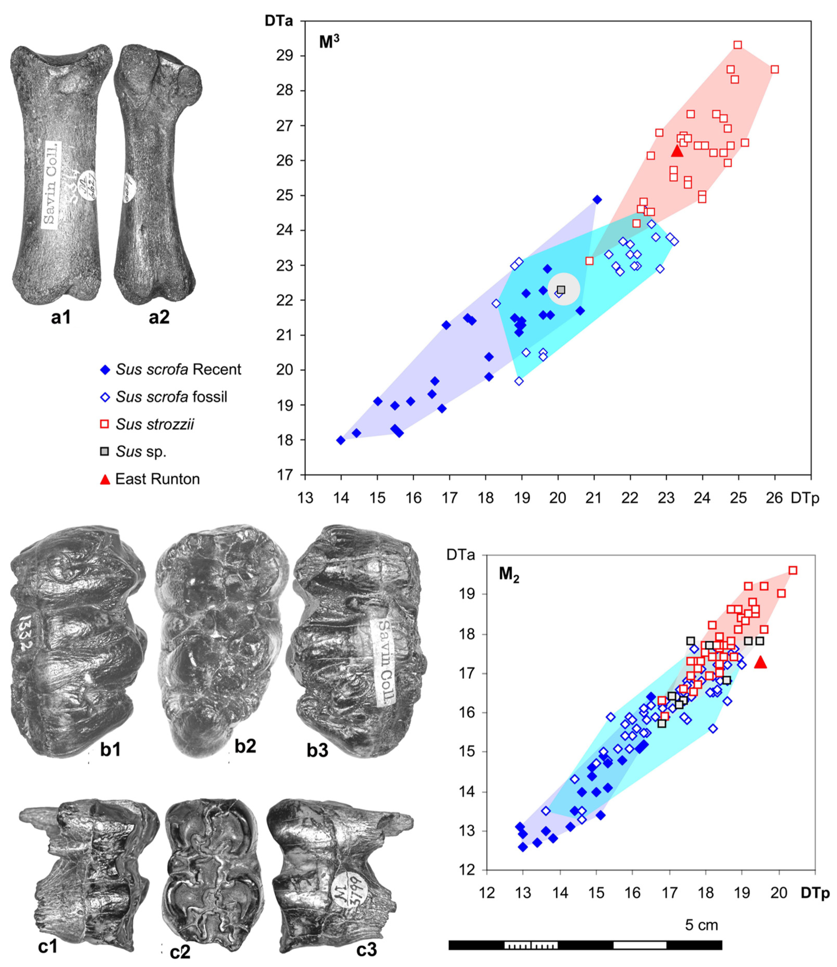 Quaternary 08 00026 g004