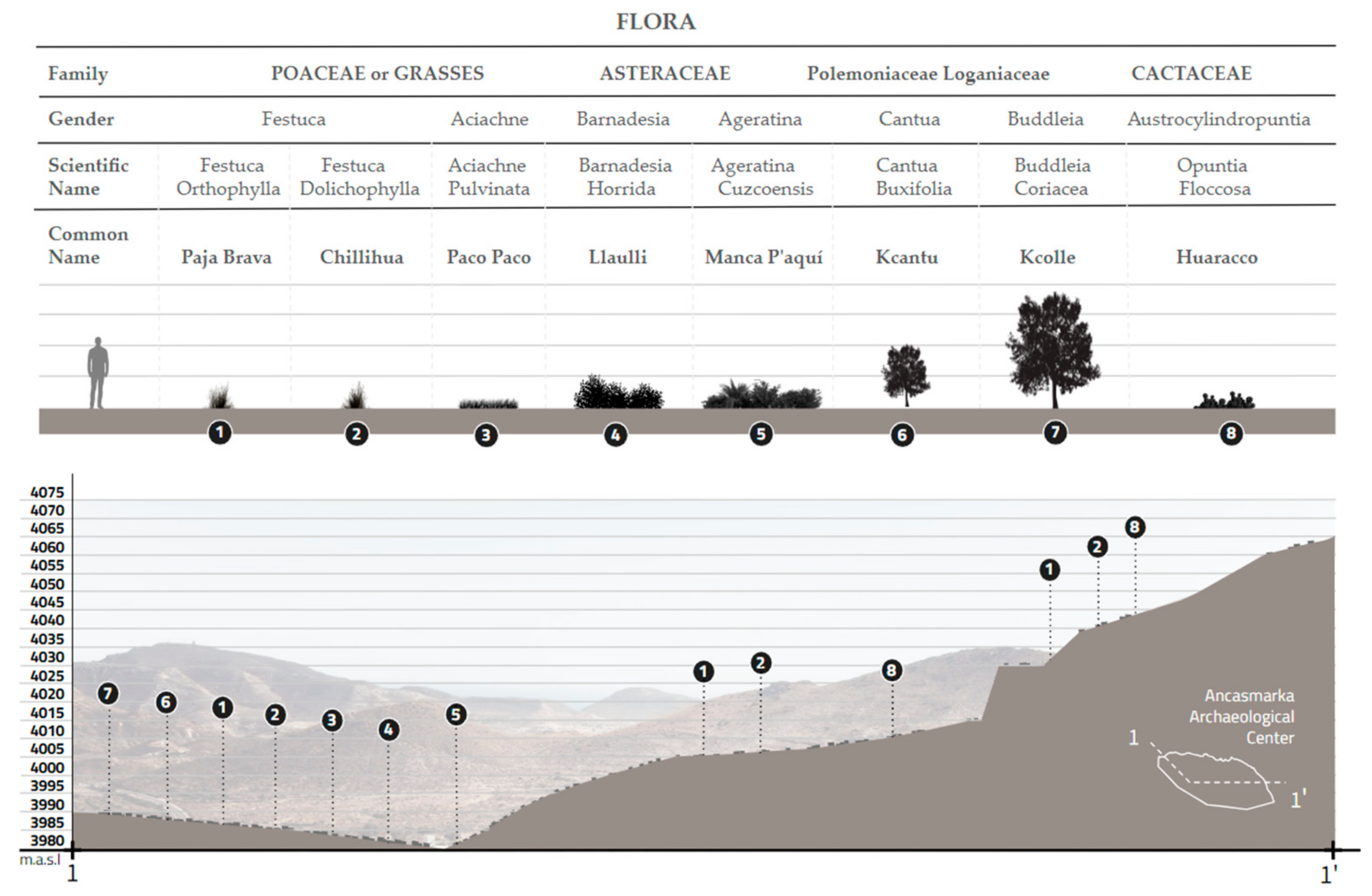 Quaternary 08 00027 g010