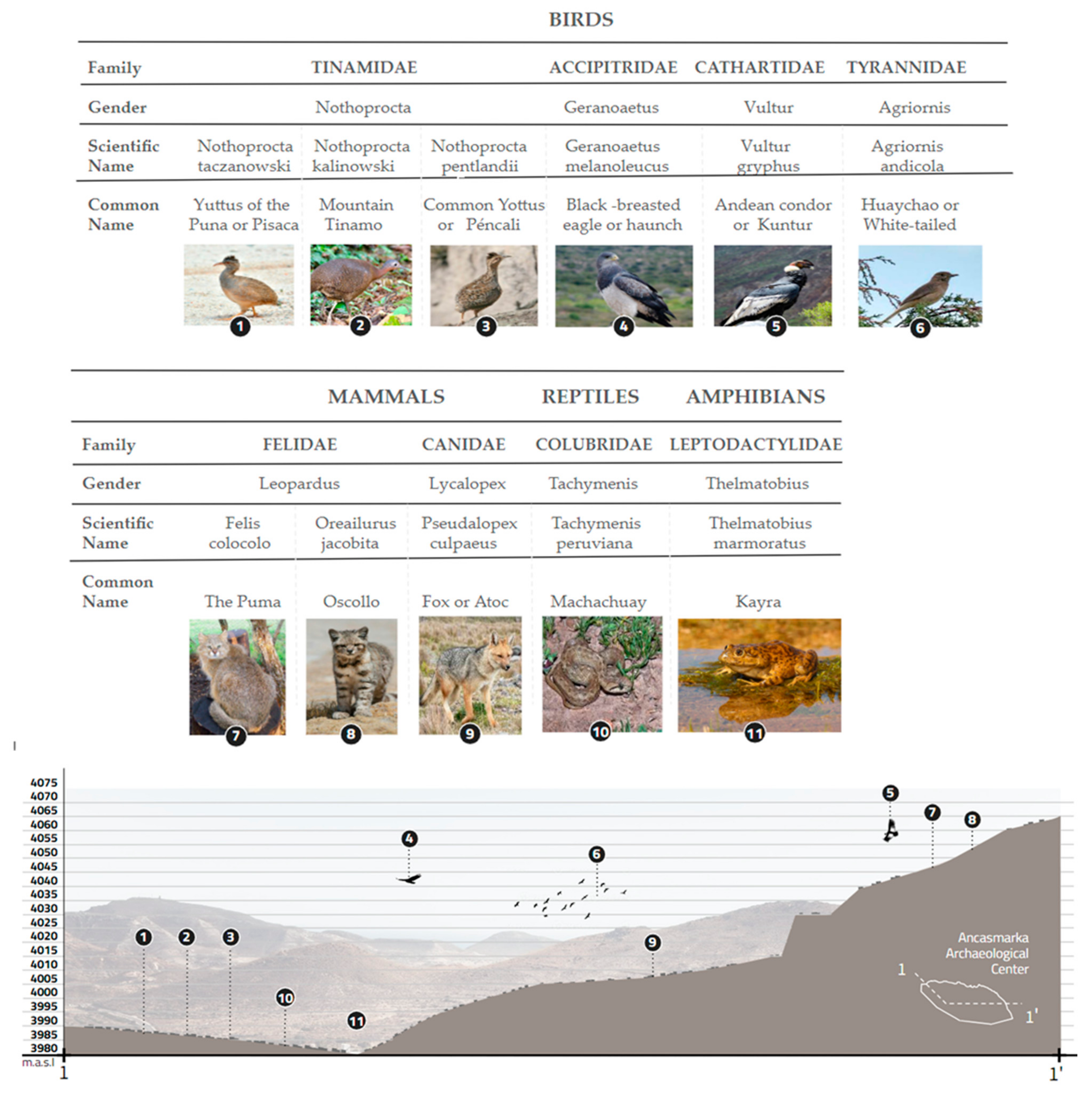 Quaternary 08 00027 g011