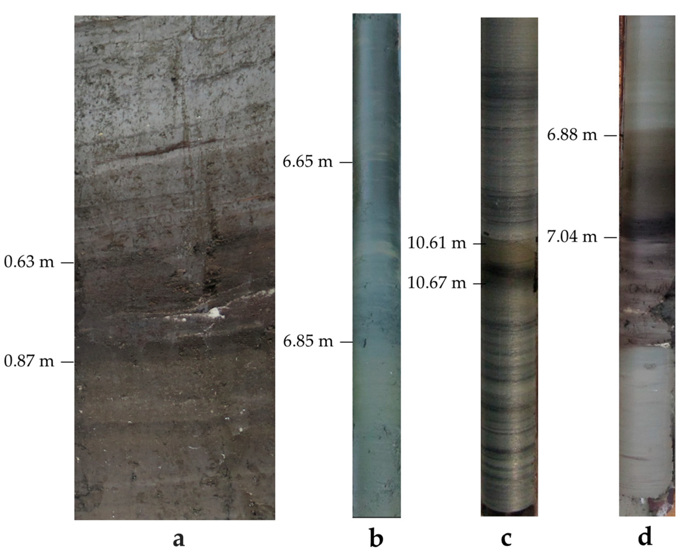 Quaternary 08 00028 g004