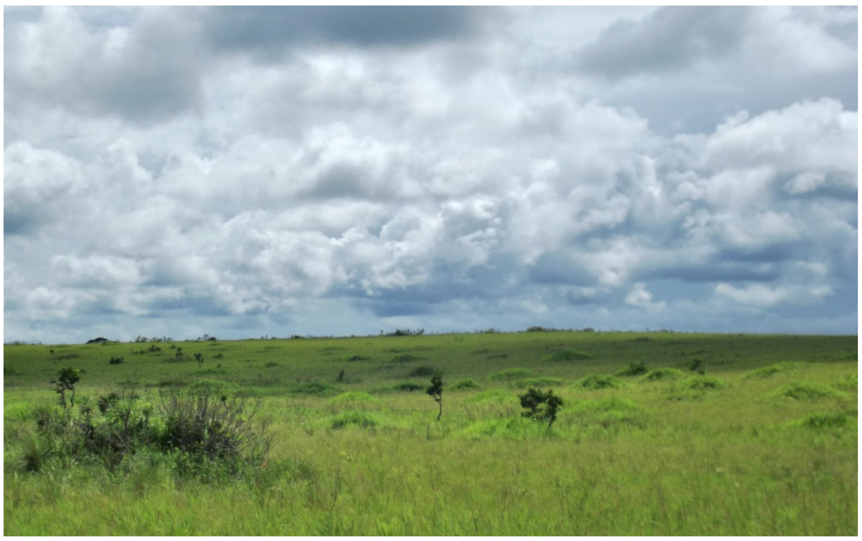 Quaternary 08 00034 g003