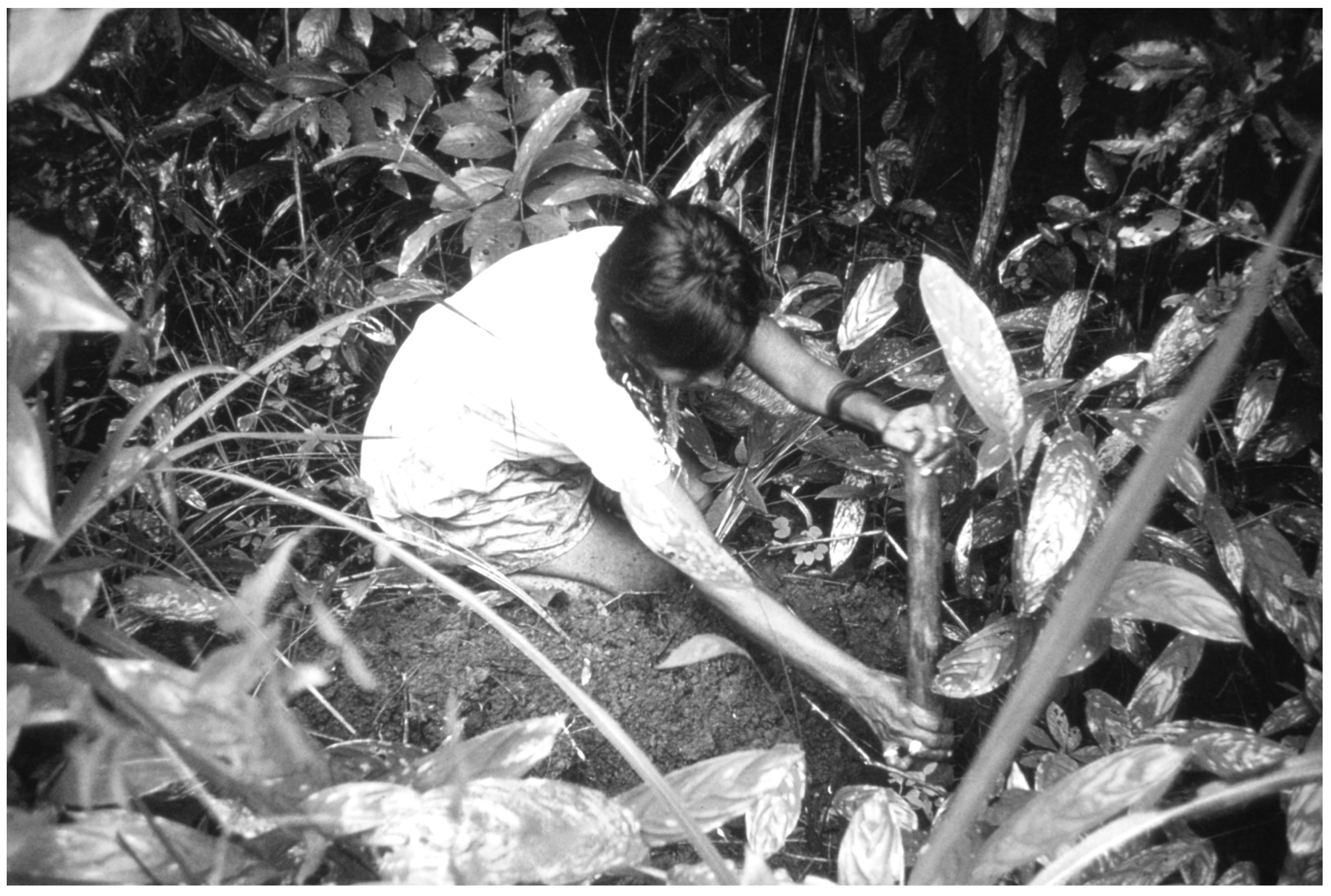 Quaternary 08 00034 g005