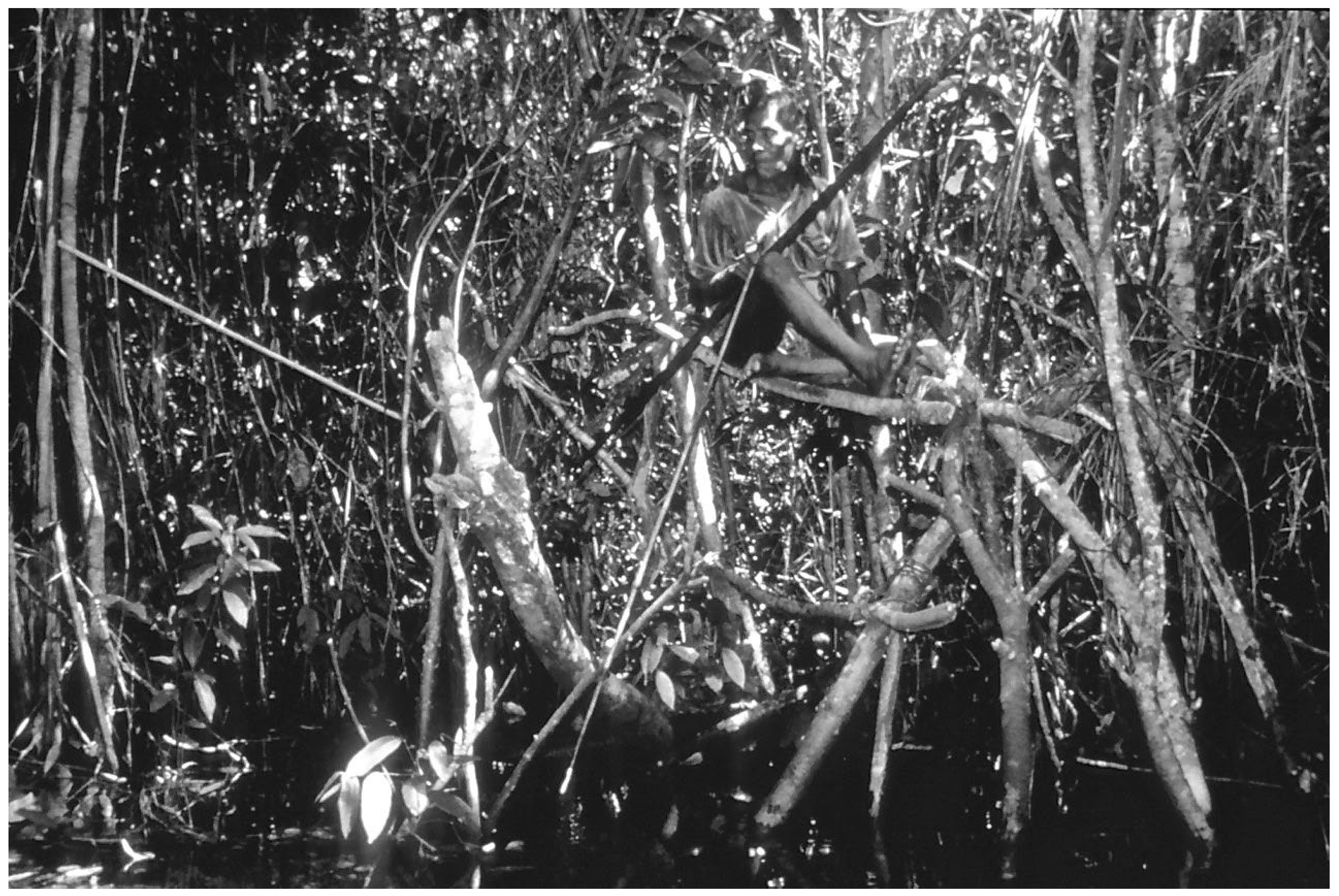 Quaternary 08 00034 g006