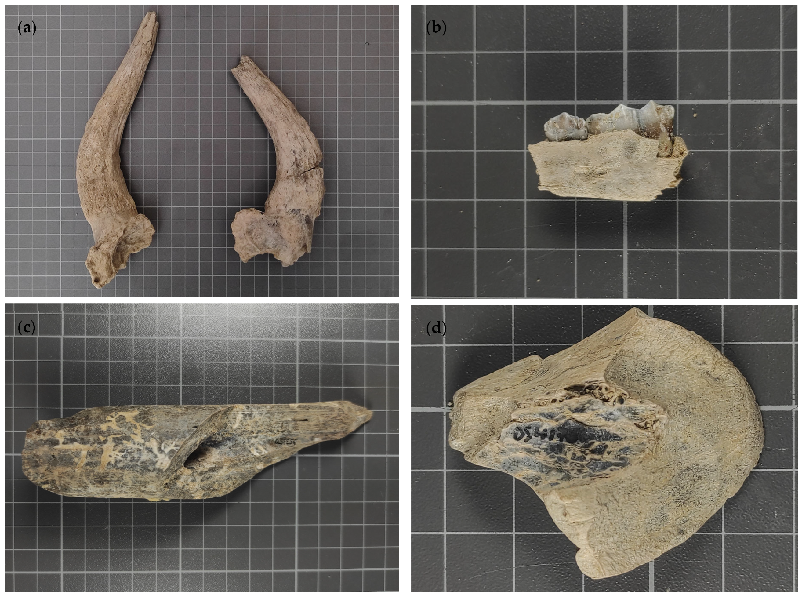 Quaternary 08 00035 g002