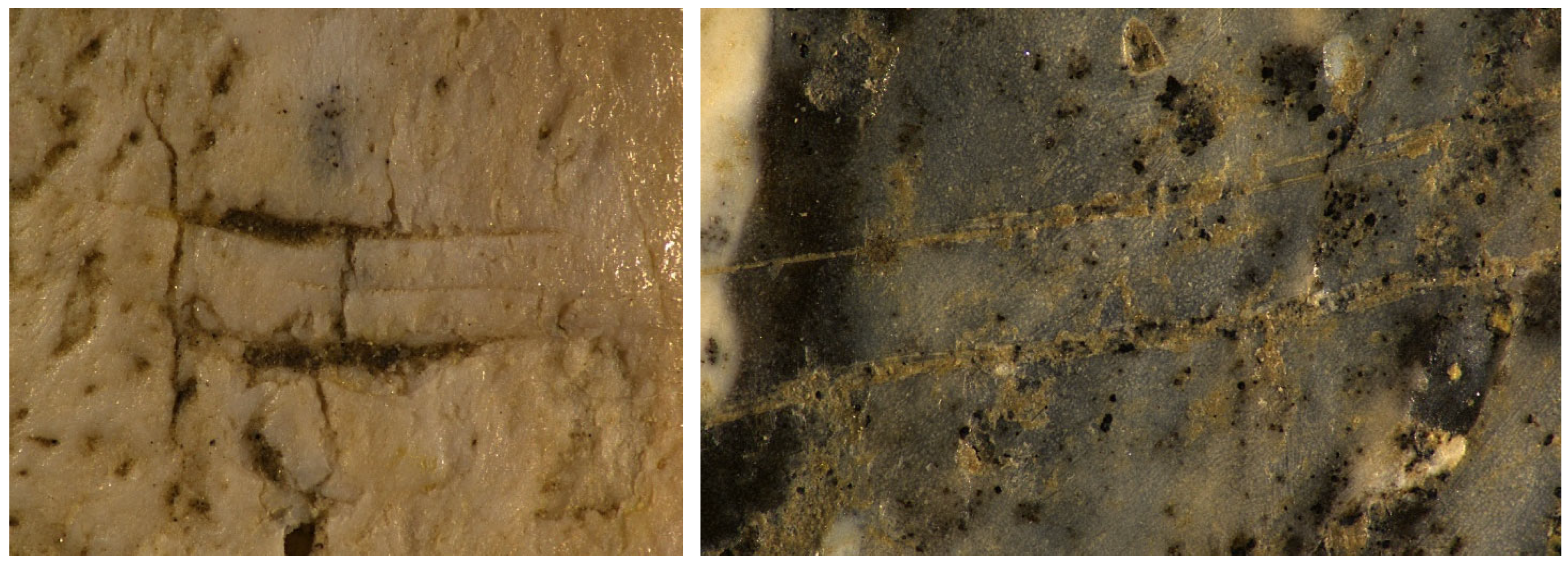 Quaternary 08 00035 g005