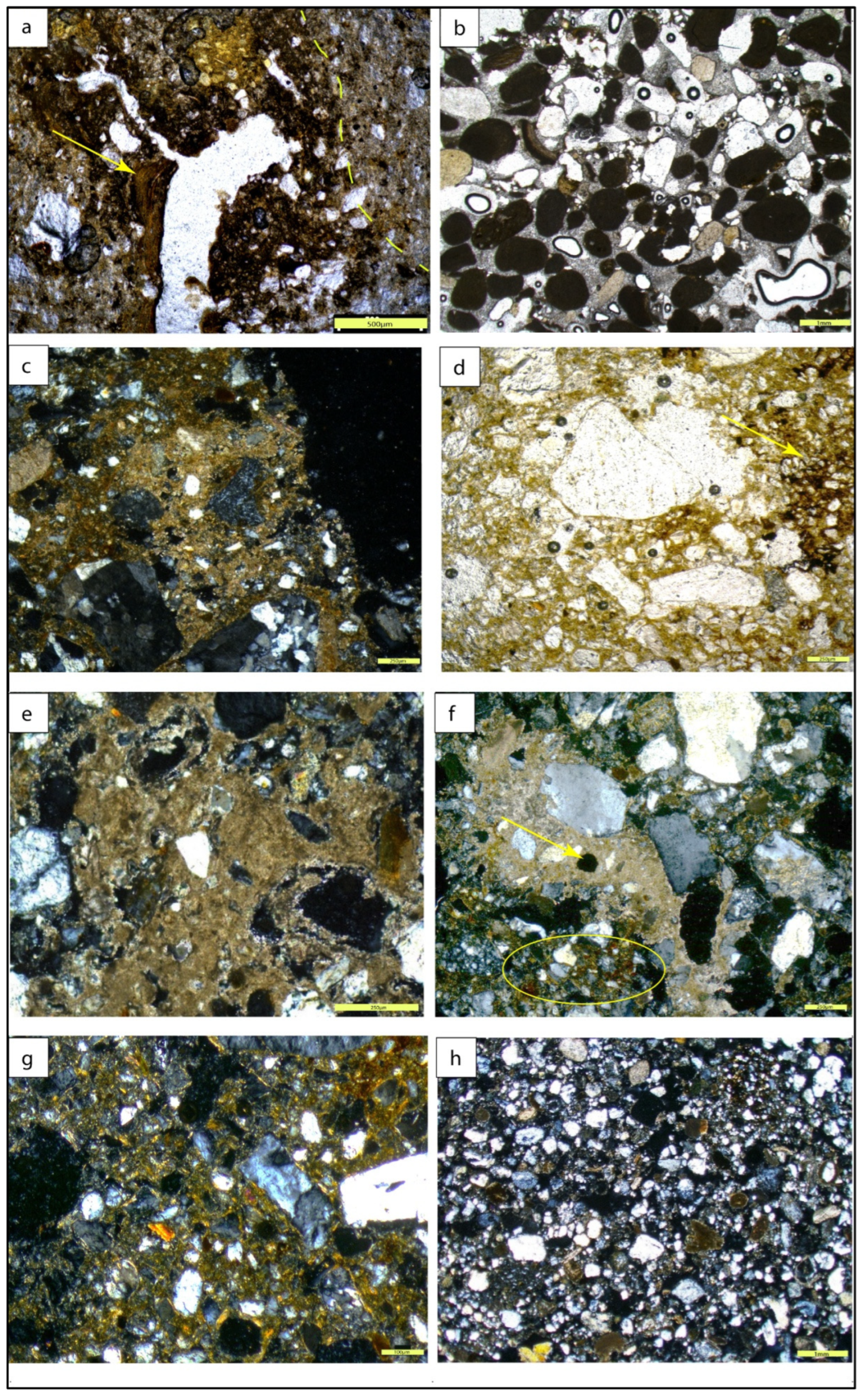 Quaternary 08 00042 g007