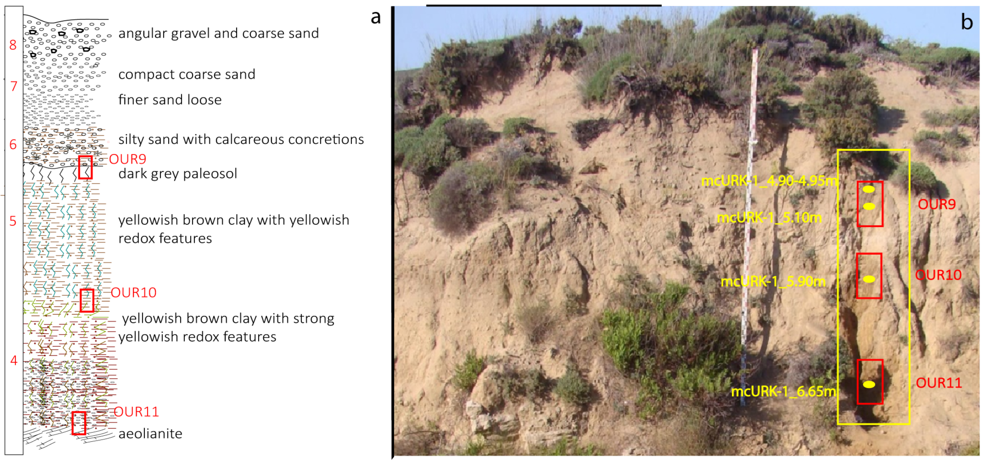 Quaternary 08 00042 g009