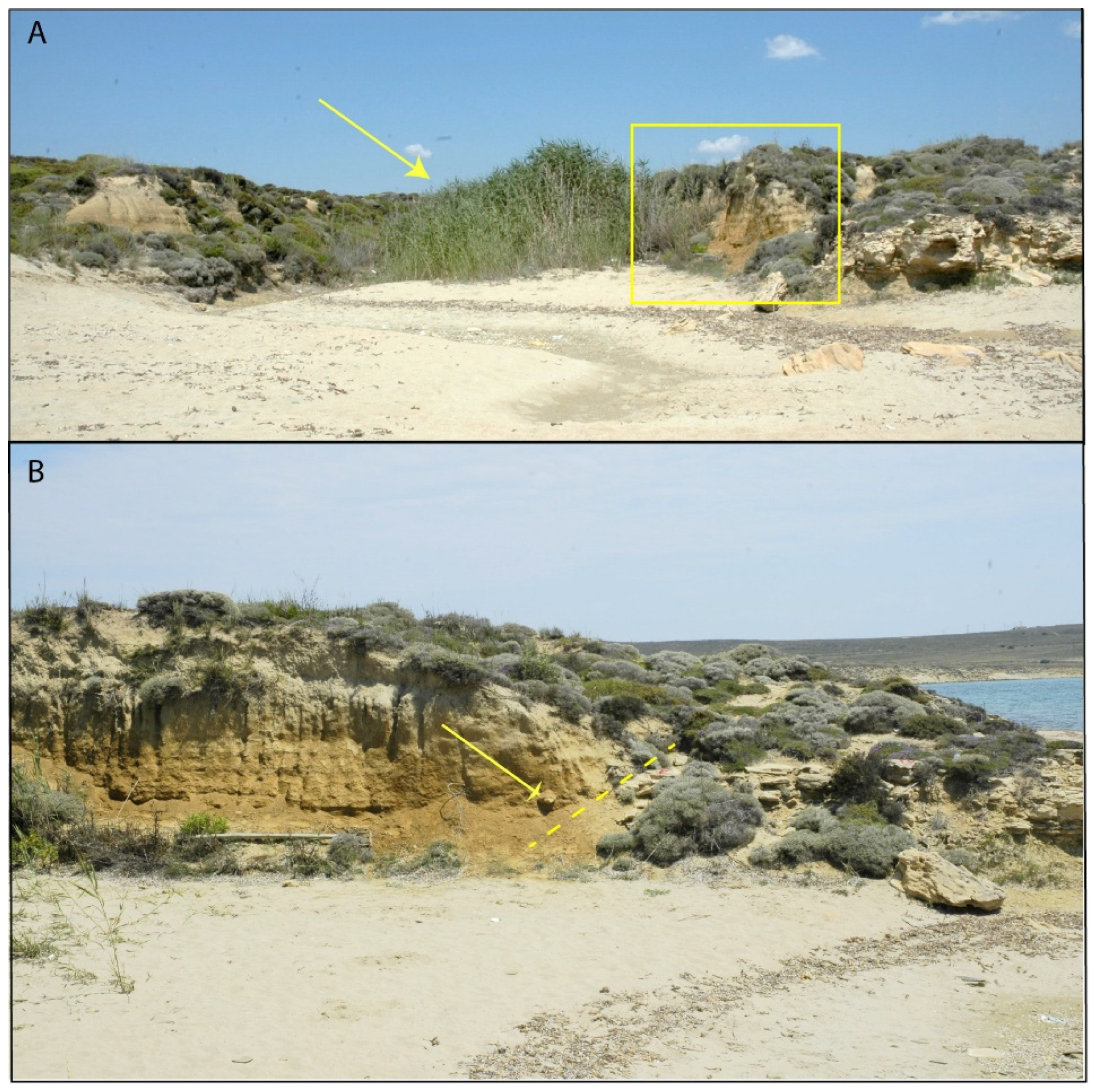 Quaternary 08 00042 g011