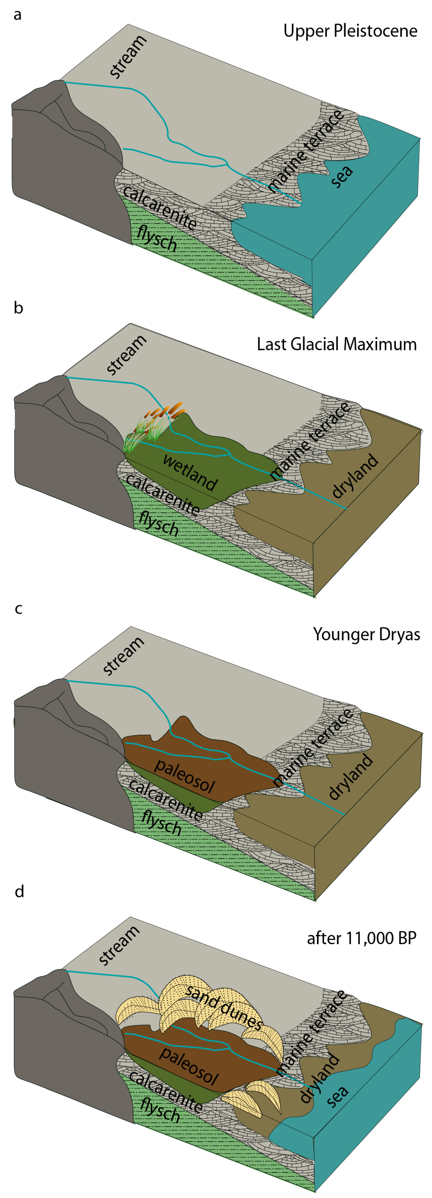 Quaternary 08 00042 g012