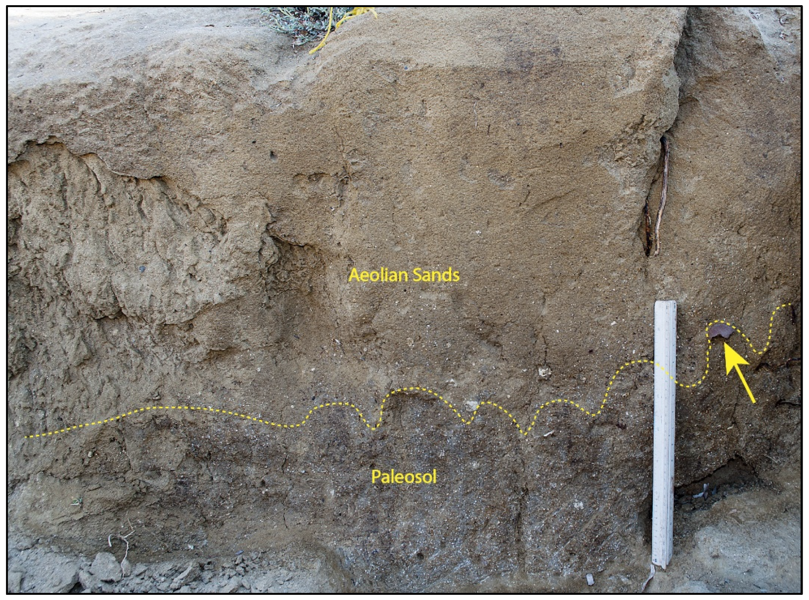 Quaternary 08 00042 g013