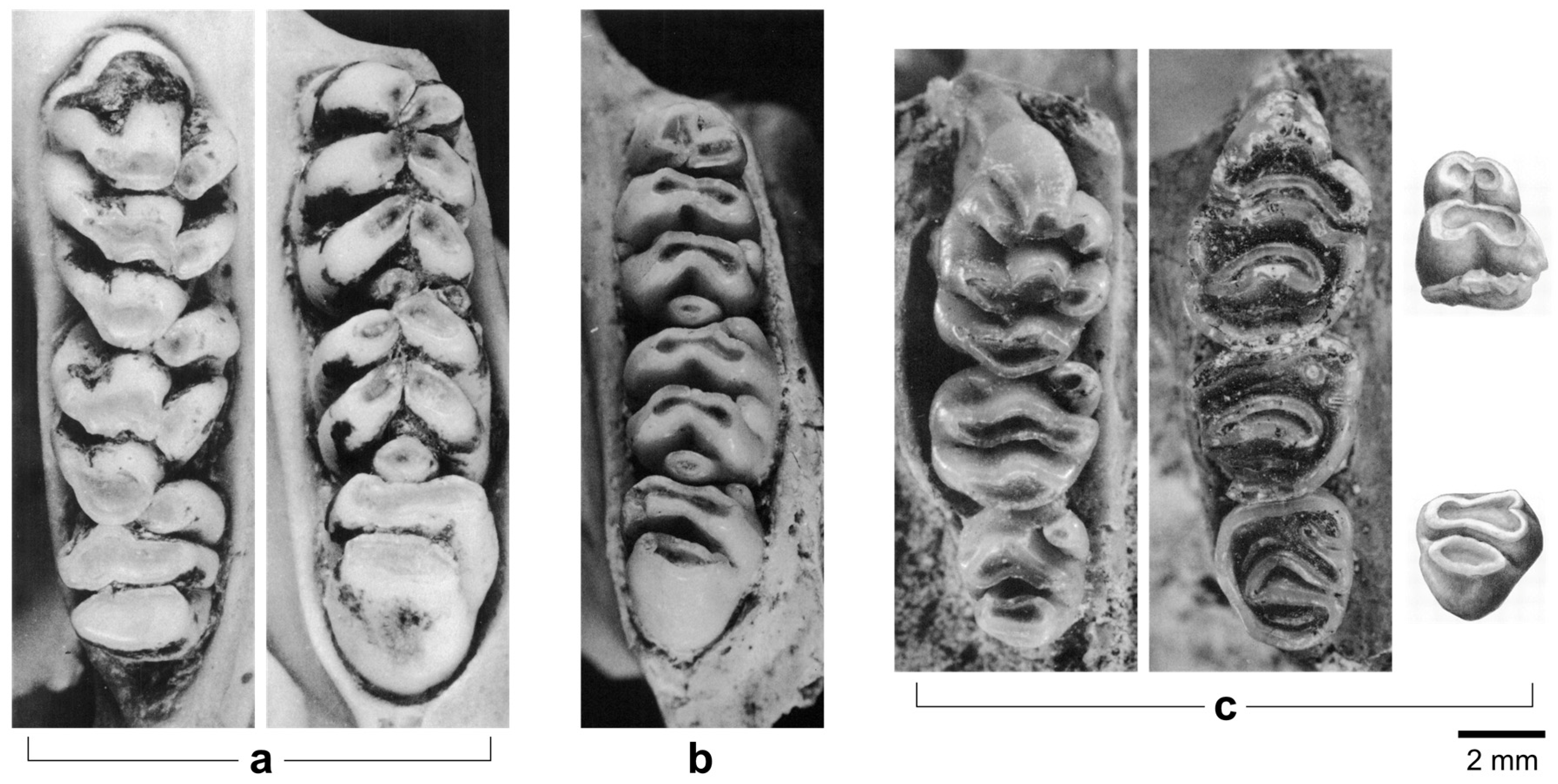 Quaternary 08 00044 g002 Quaternary 08 00044 g002