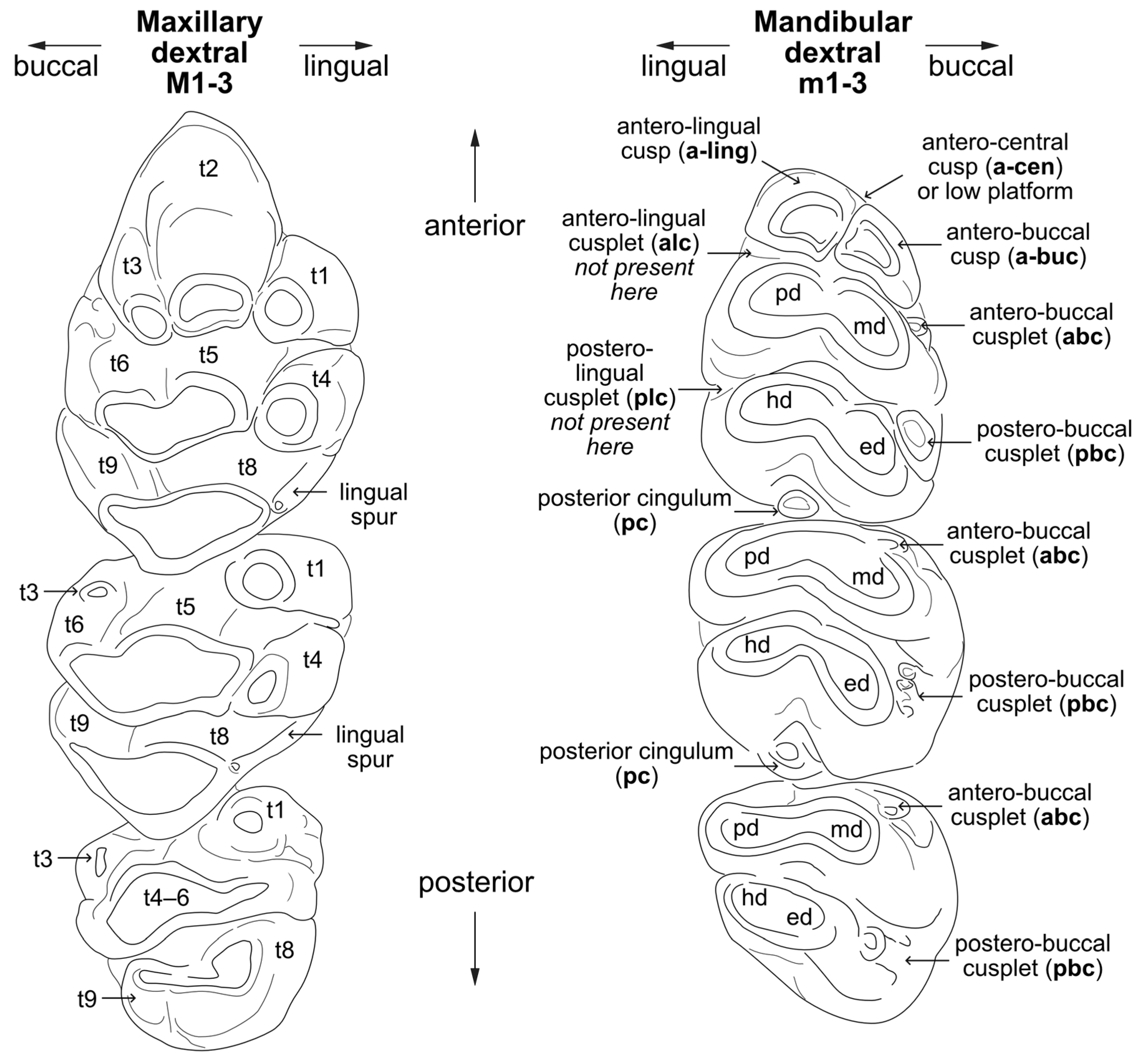 Quaternary 08 00044 g004 Quaternary 08 00044 g004