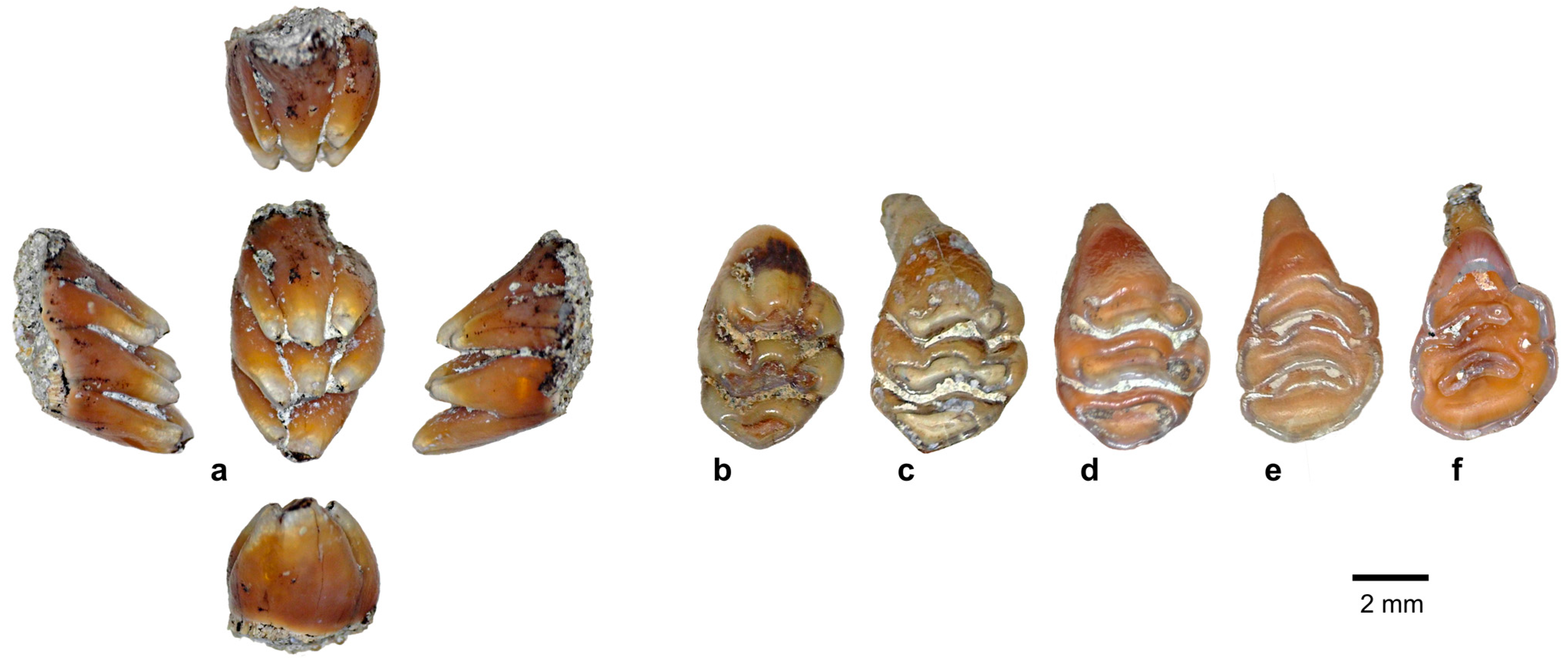 Quaternary 08 00044 g009 Quaternary 08 00044 g009