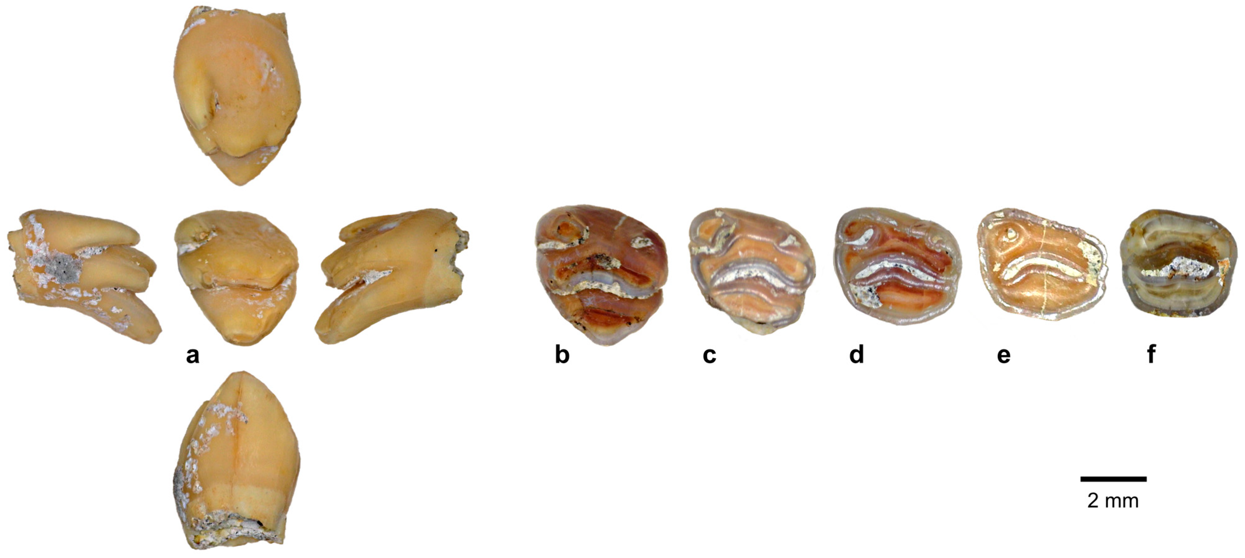 Quaternary 08 00044 g010 Quaternary 08 00044 g010