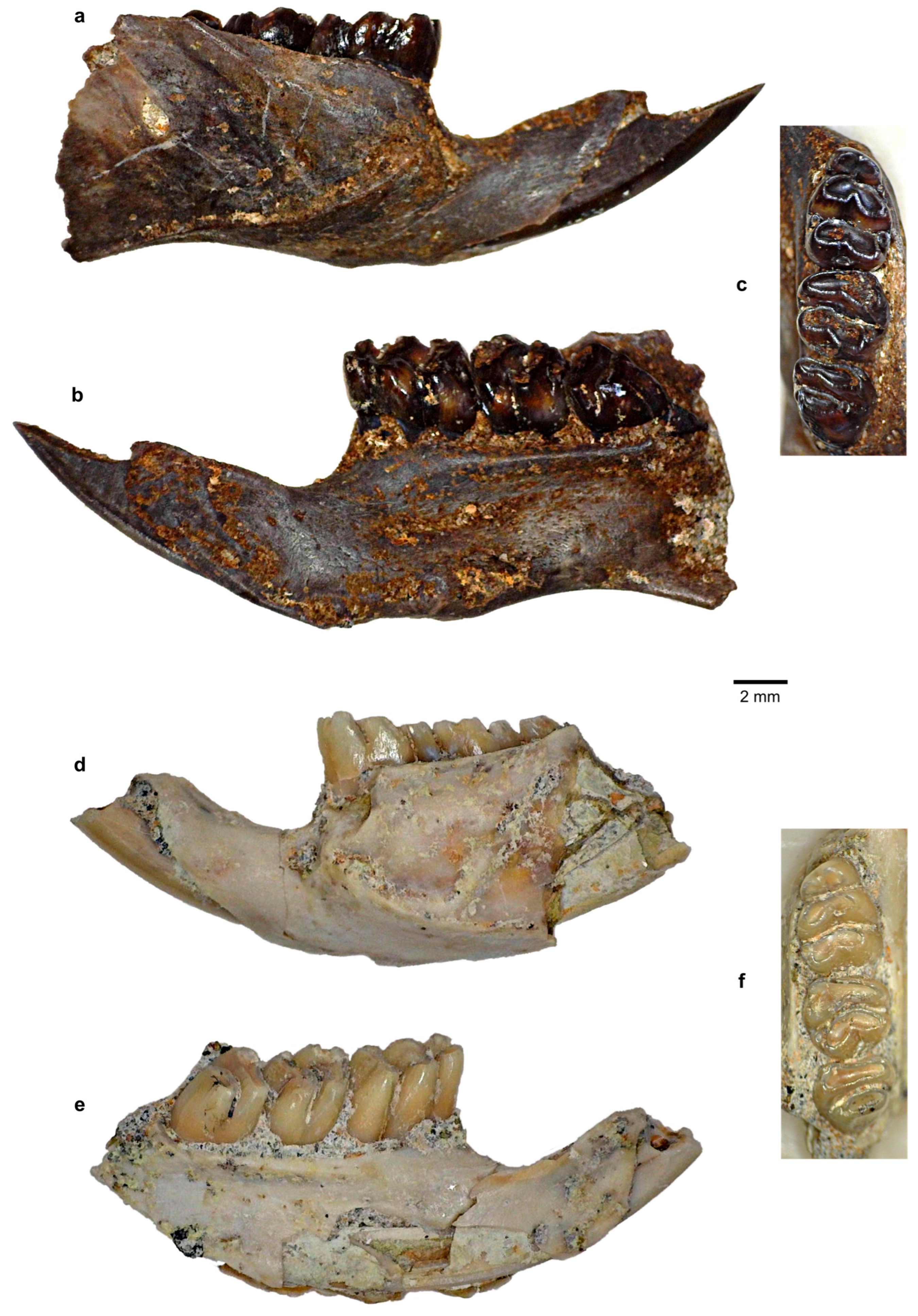 Quaternary 08 00044 g012 Quaternary 08 00044 g012