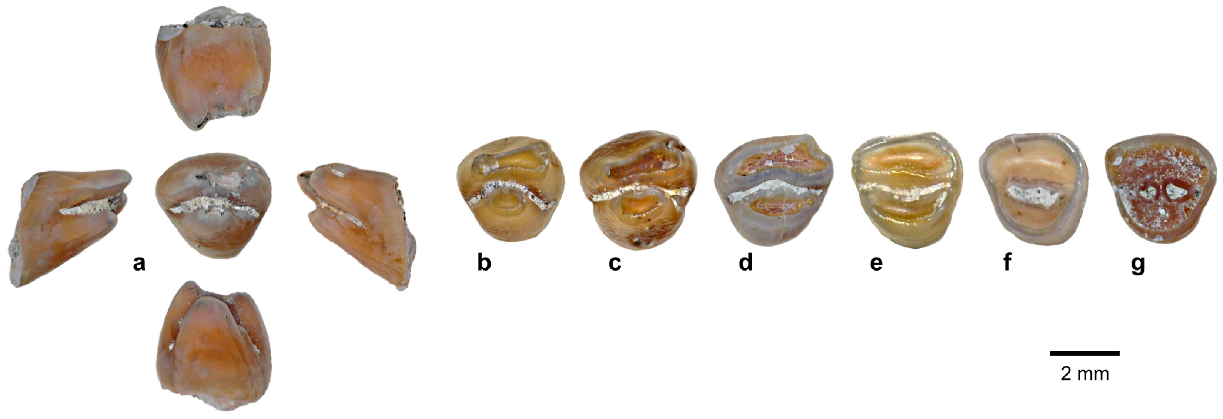 Quaternary 08 00044 g015 Quaternary 08 00044 g015
