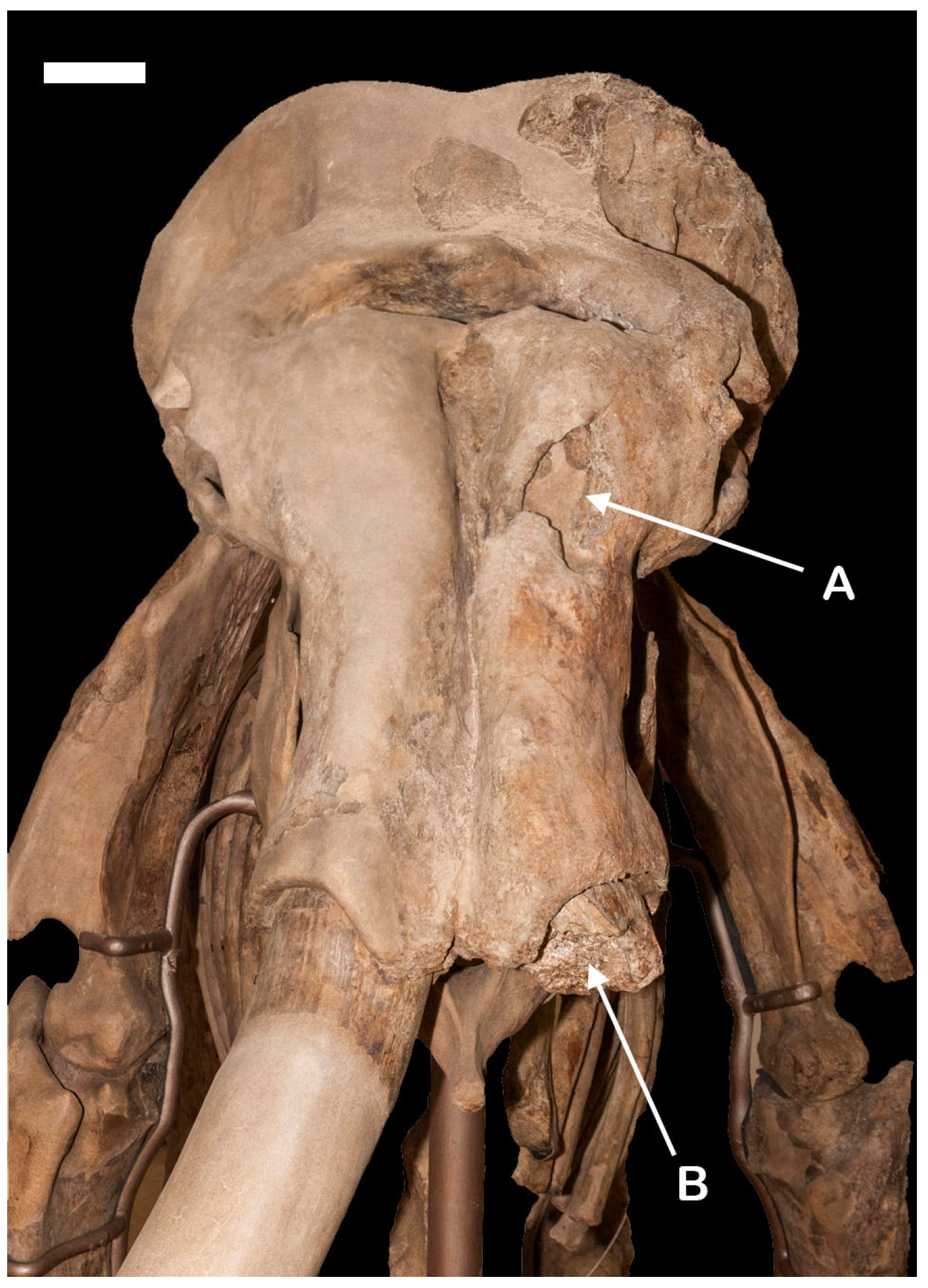 Quaternary 08 00046 g002