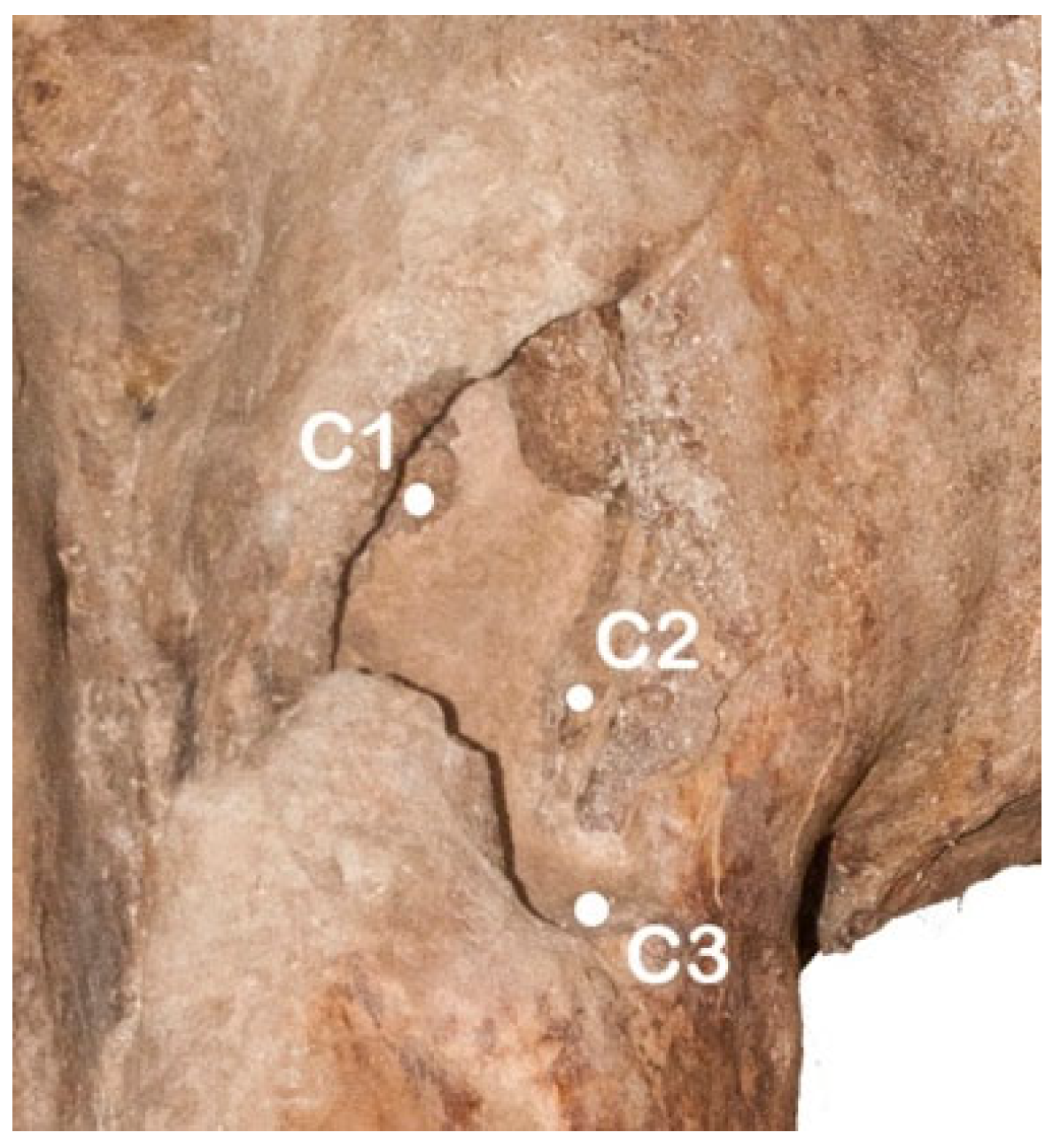 Quaternary 08 00046 g003