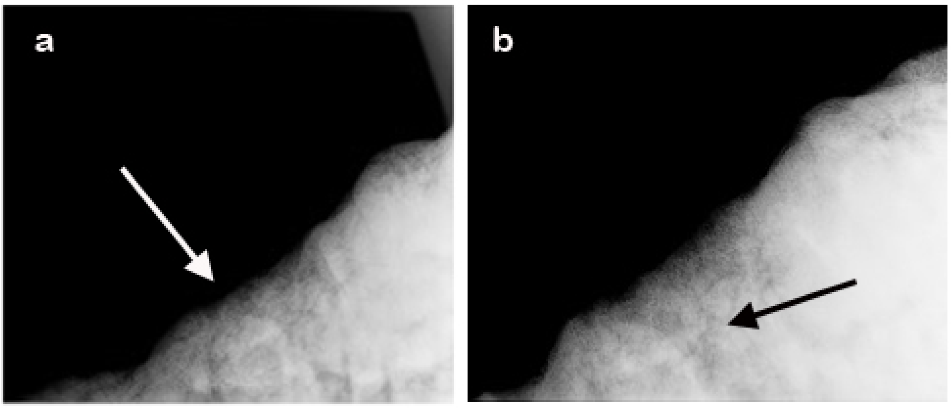 Quaternary 08 00046 g005