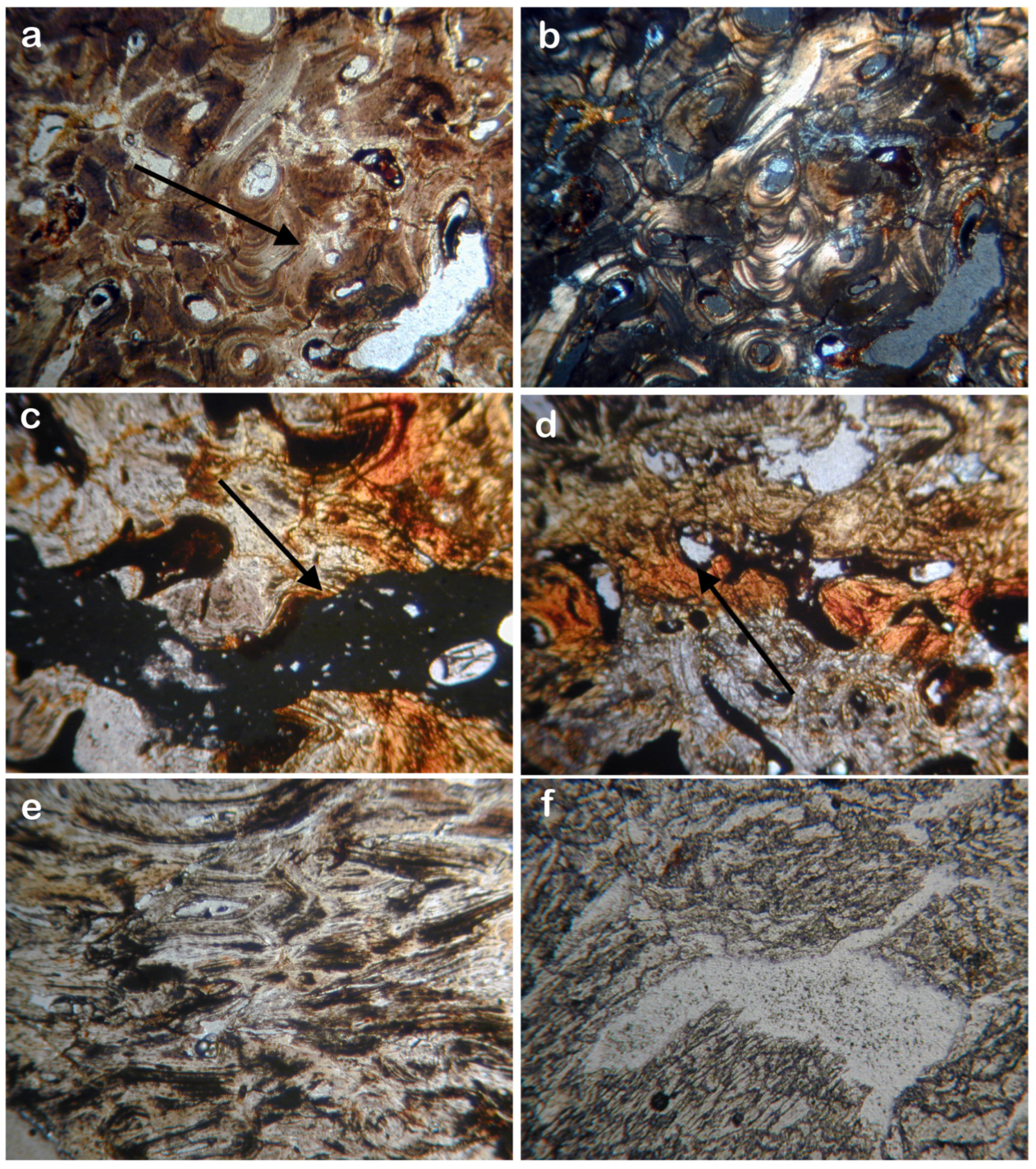 Quaternary 08 00046 g007