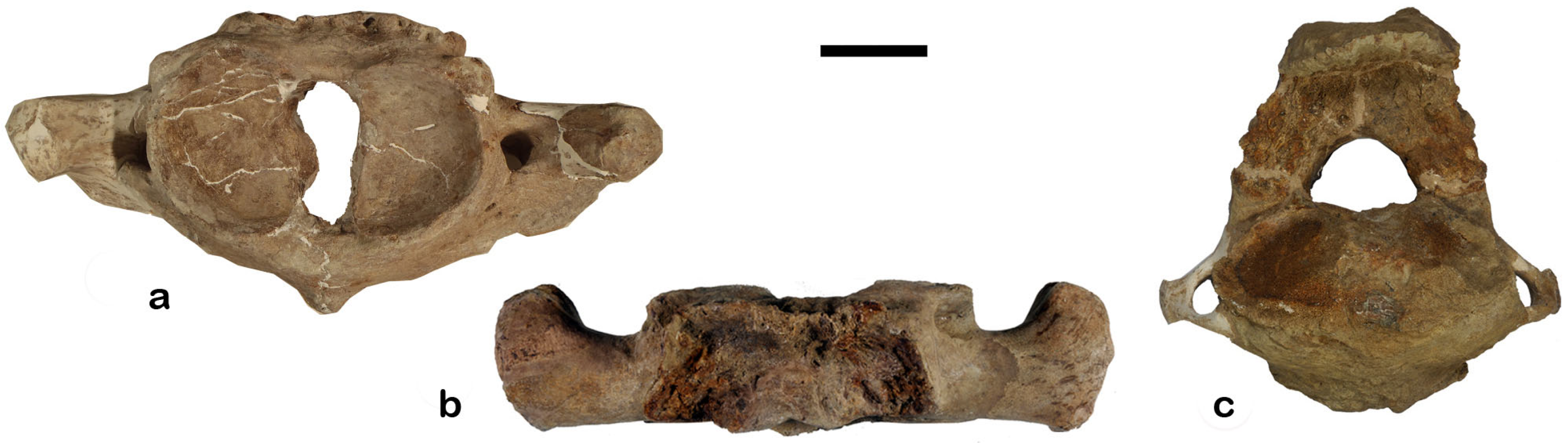 Quaternary 08 00046 g008