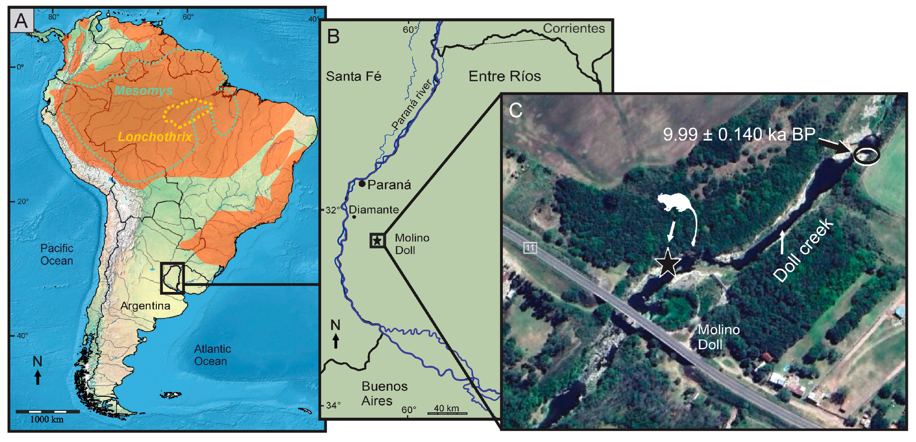 Quaternary 08 00048 g001 Quaternary 08 00048 g001