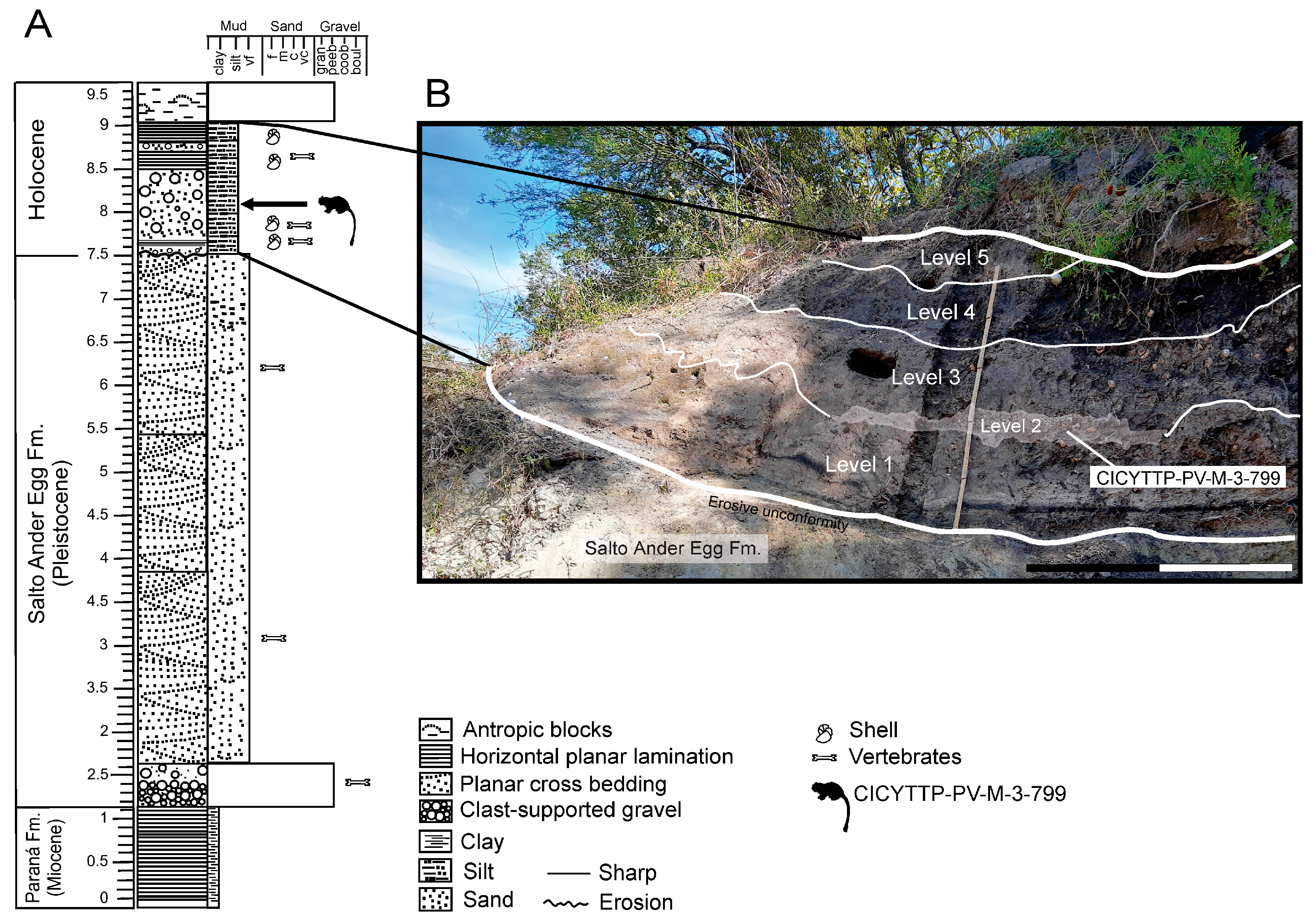 Quaternary 08 00048 g002 Quaternary 08 00048 g002
