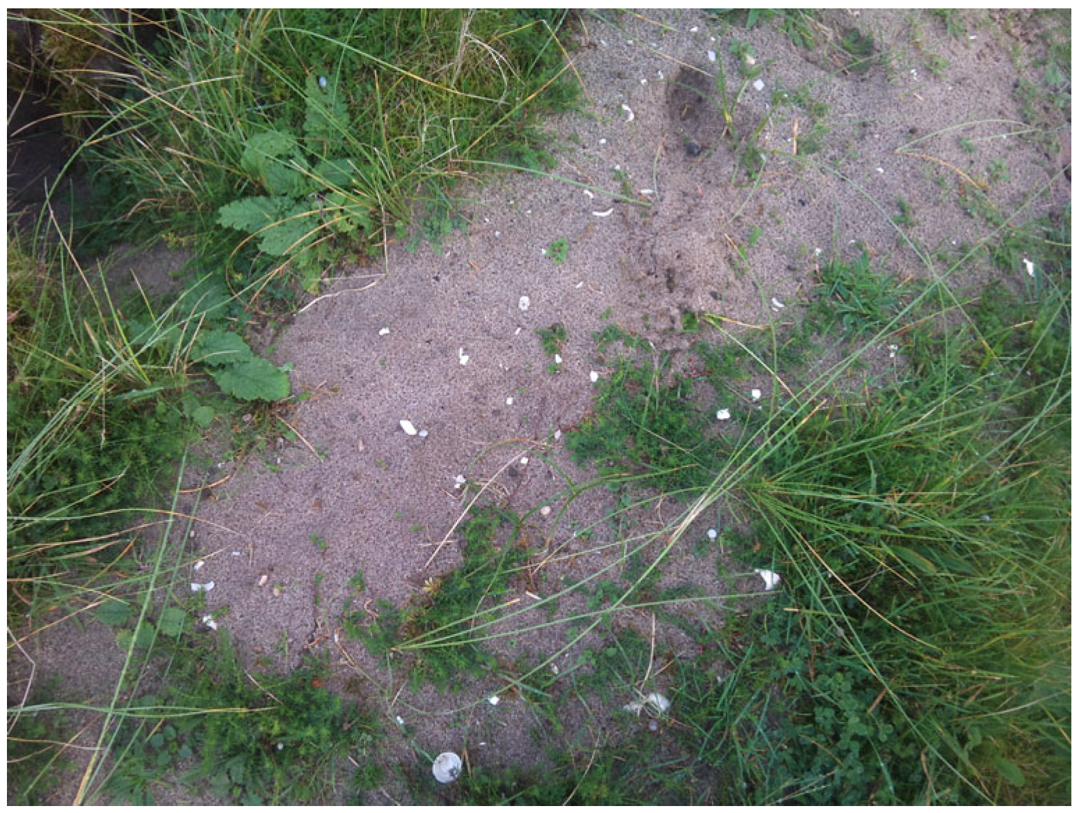 Quaternary 08 00049 g001 Quaternary 08 00049 g001