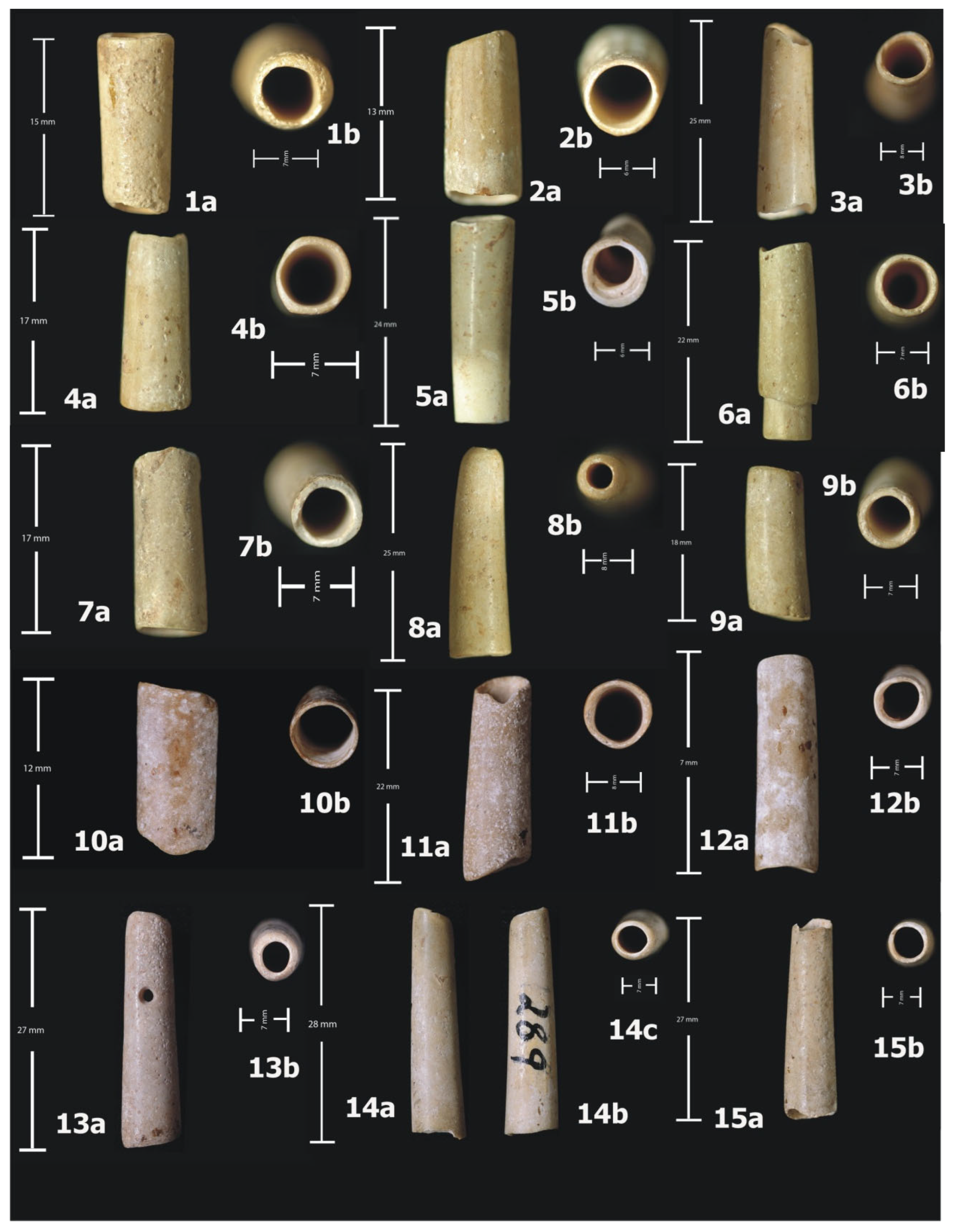 Quaternary 08 00050 g002