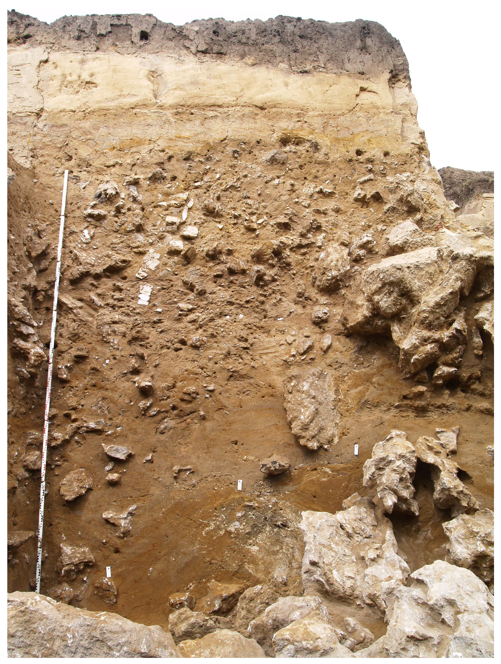 Quaternary 08 00052 g008 Quaternary 08 00052 g008