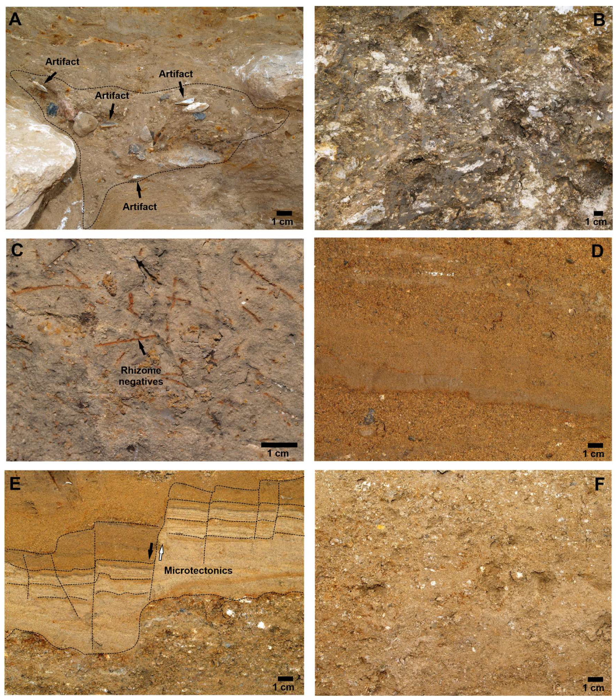 Quaternary 08 00052 g012 Quaternary 08 00052 g012