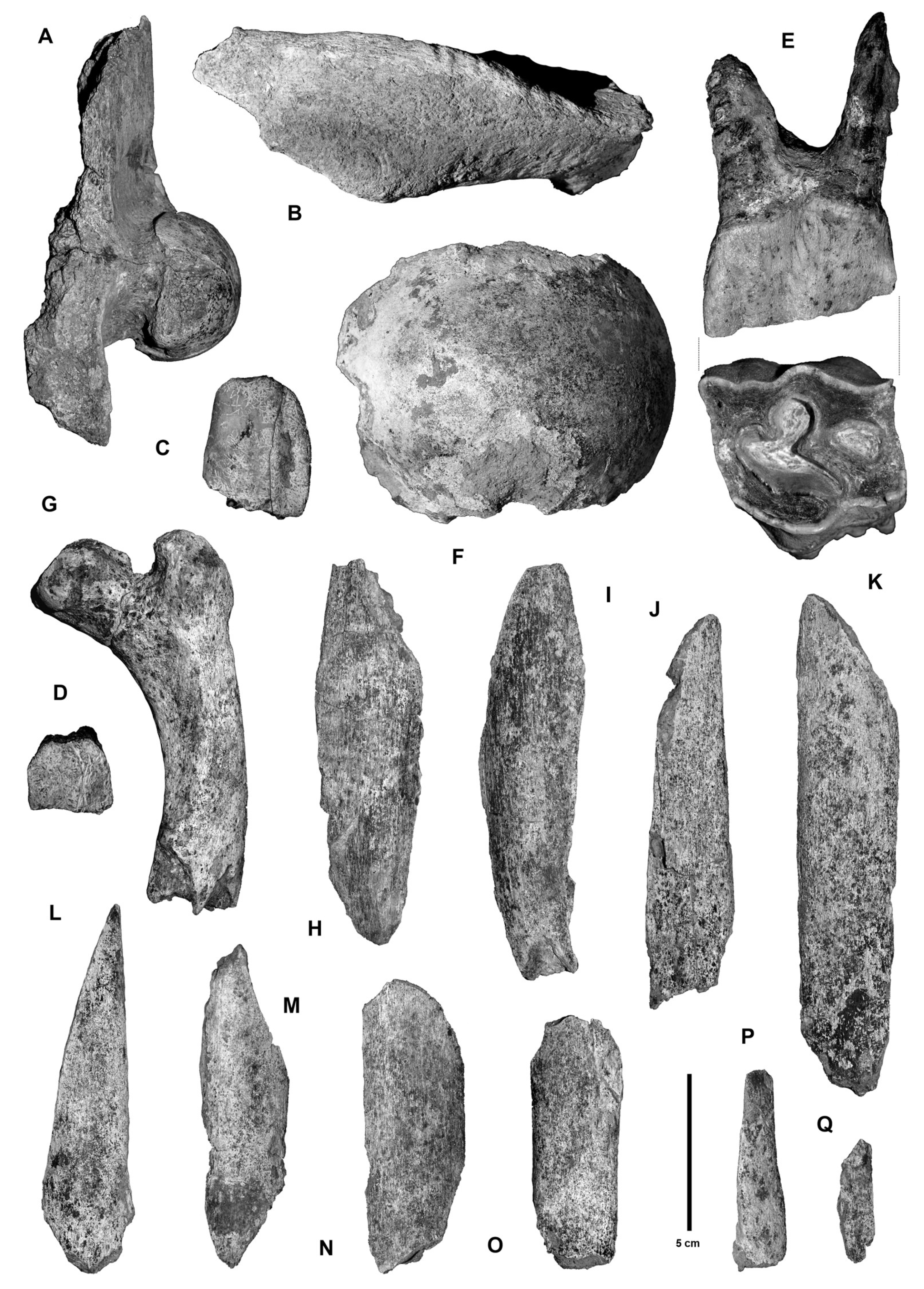 Quaternary 08 00052 g016 Quaternary 08 00052 g016